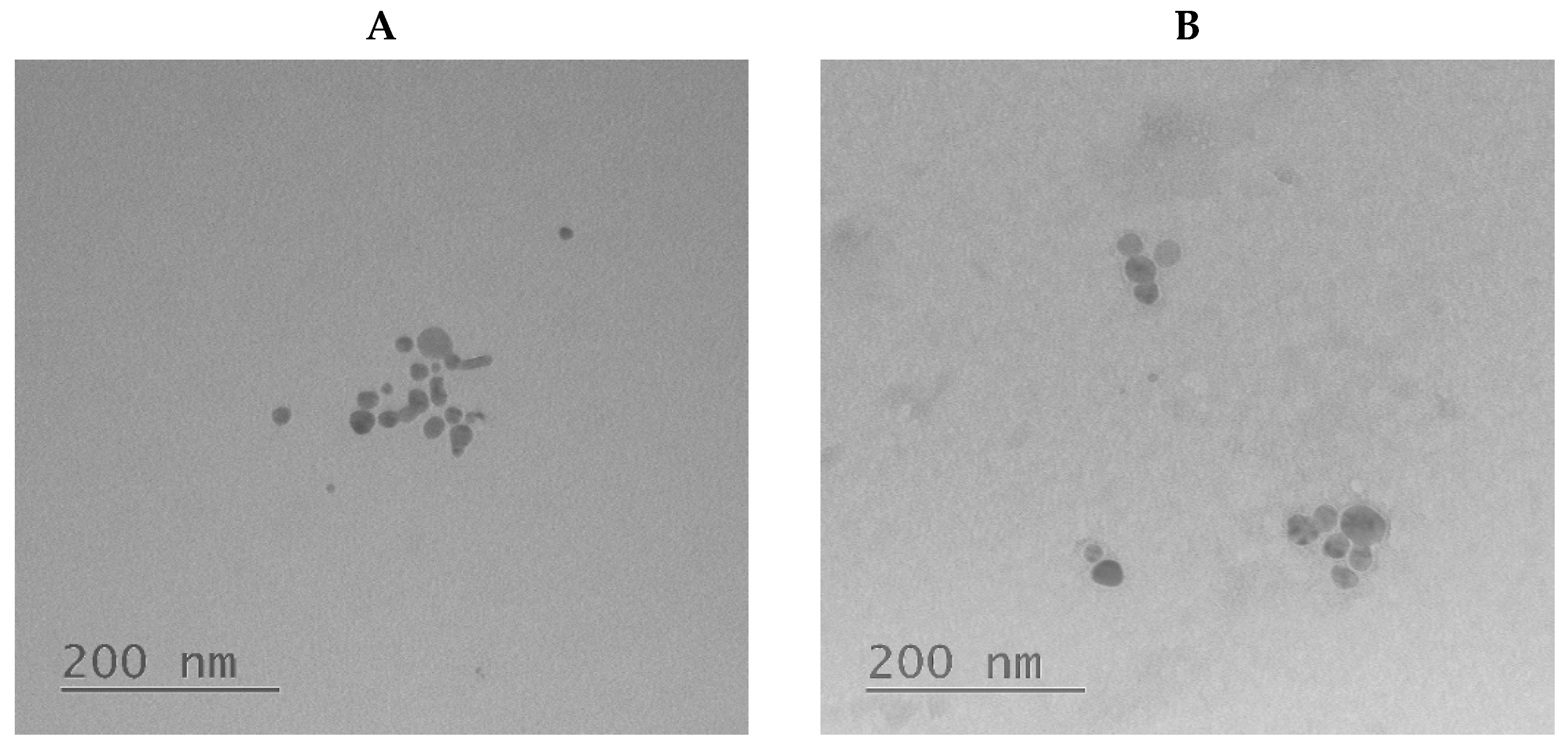 Ijms 23 02771 g004 550