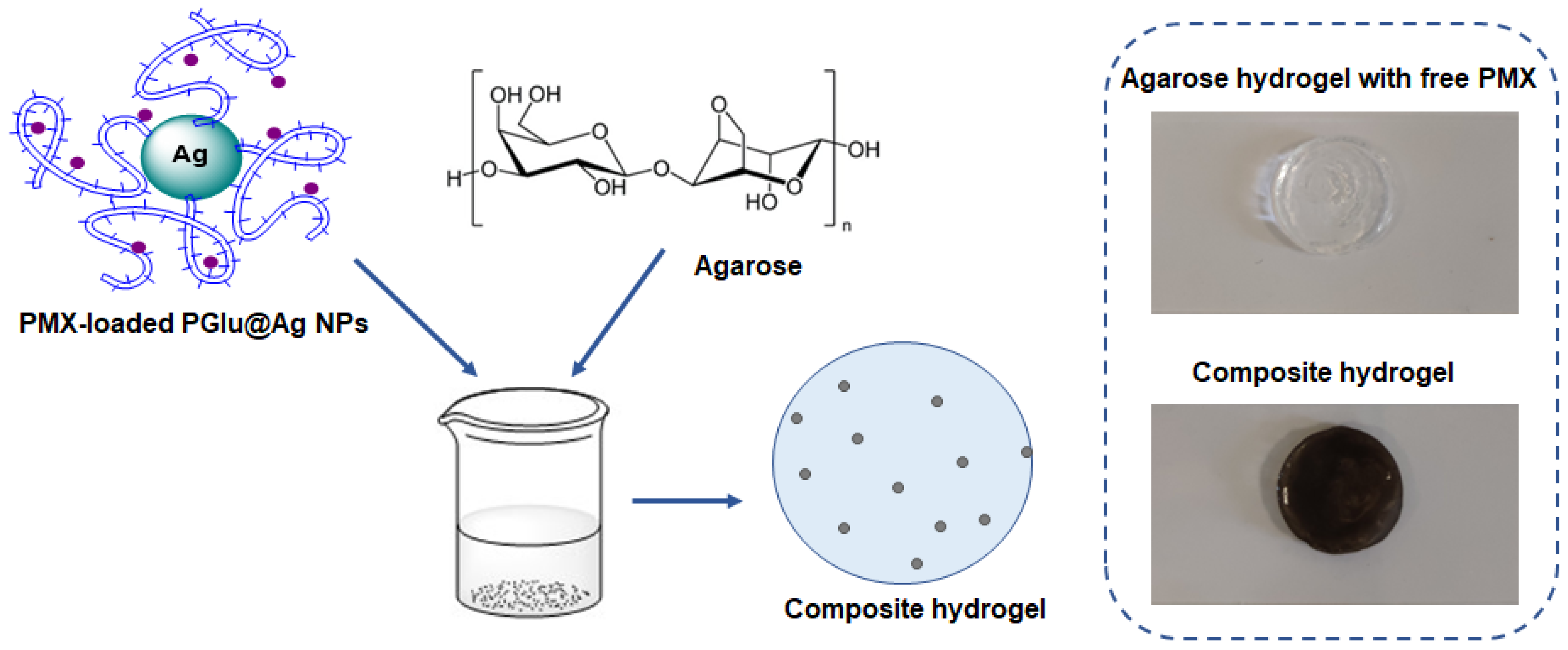 Ijms 23 02771 g009 550