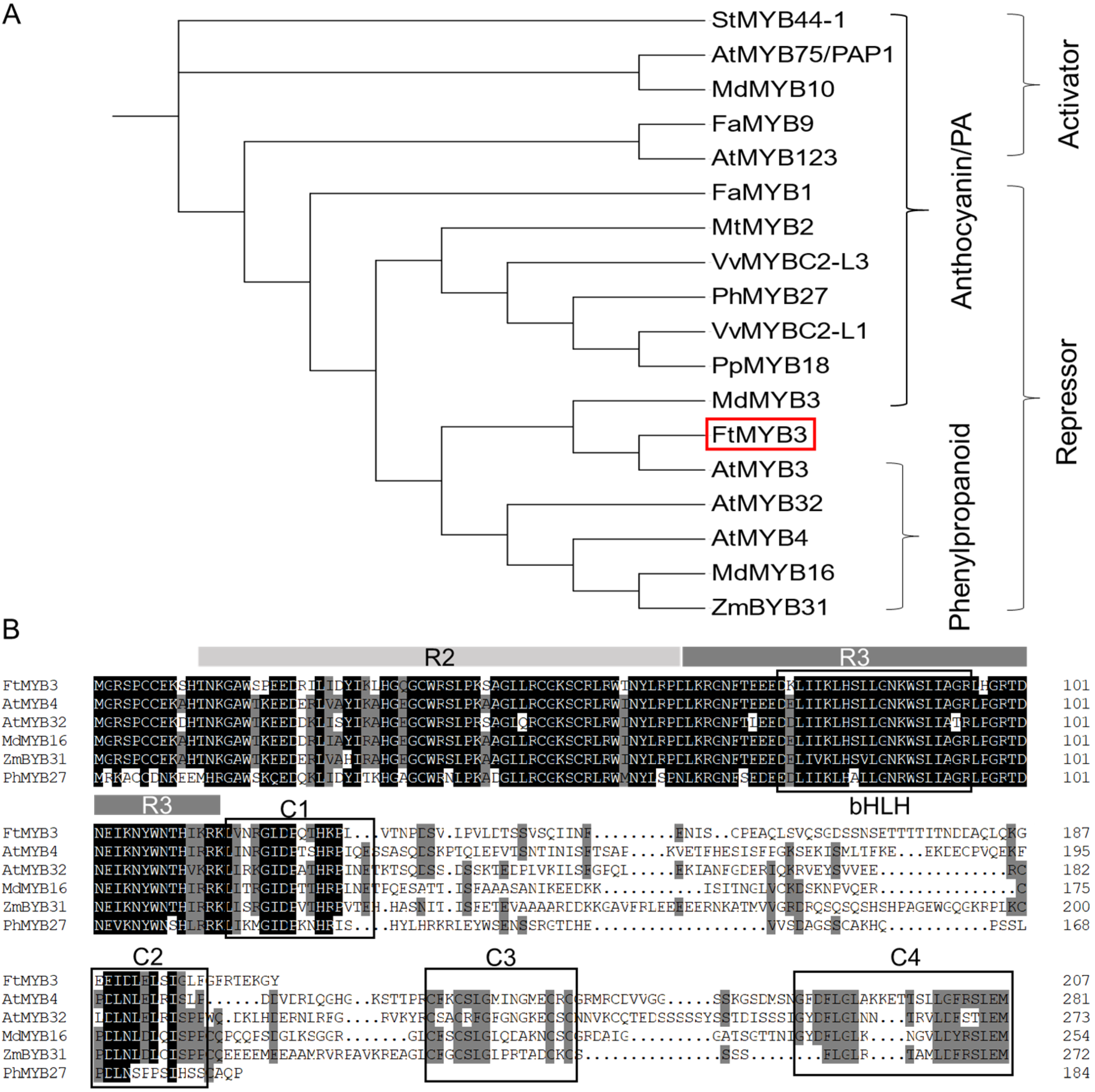 Ijms 23 02775 g001 550