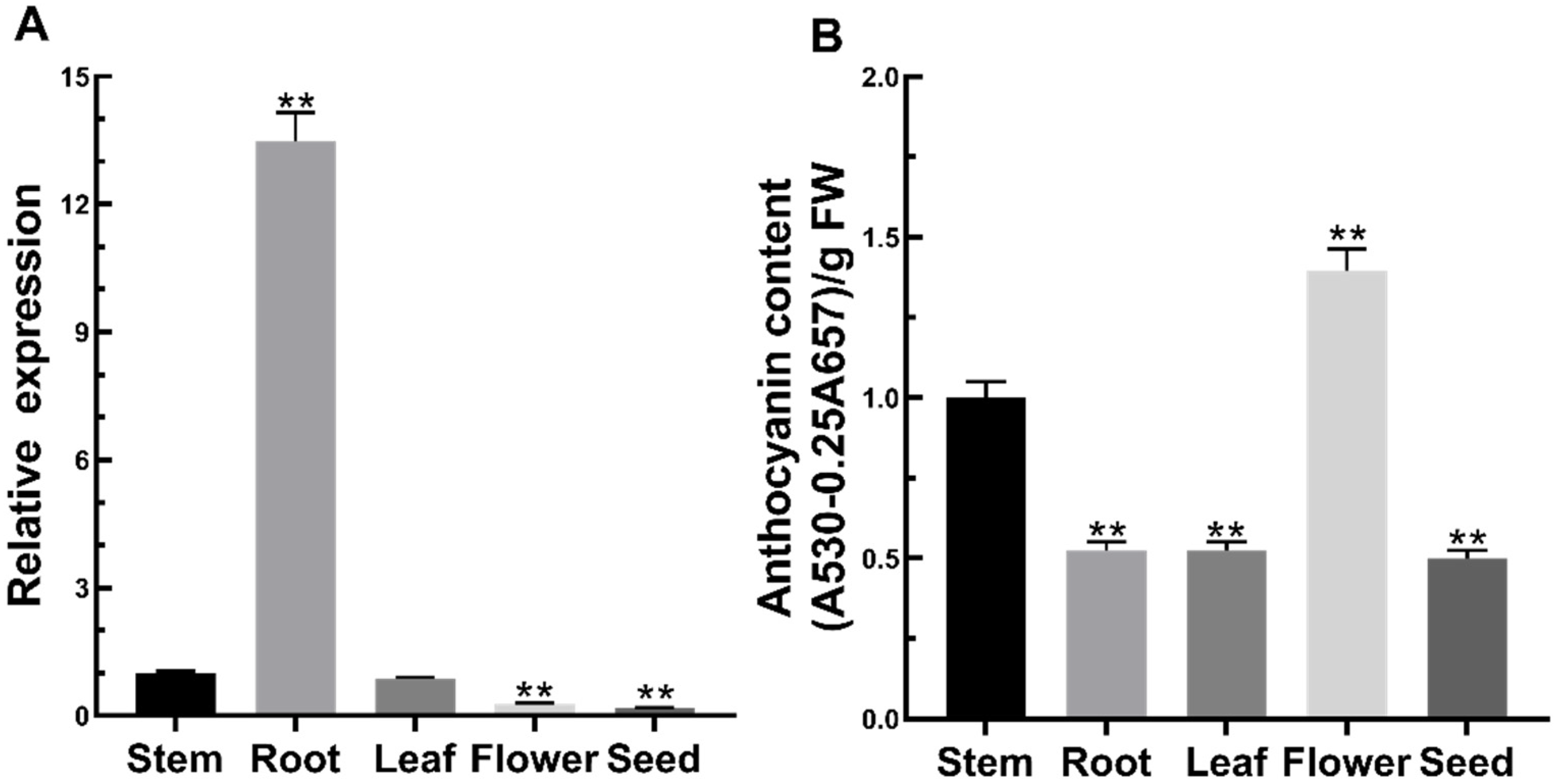 Ijms 23 02775 g002 550