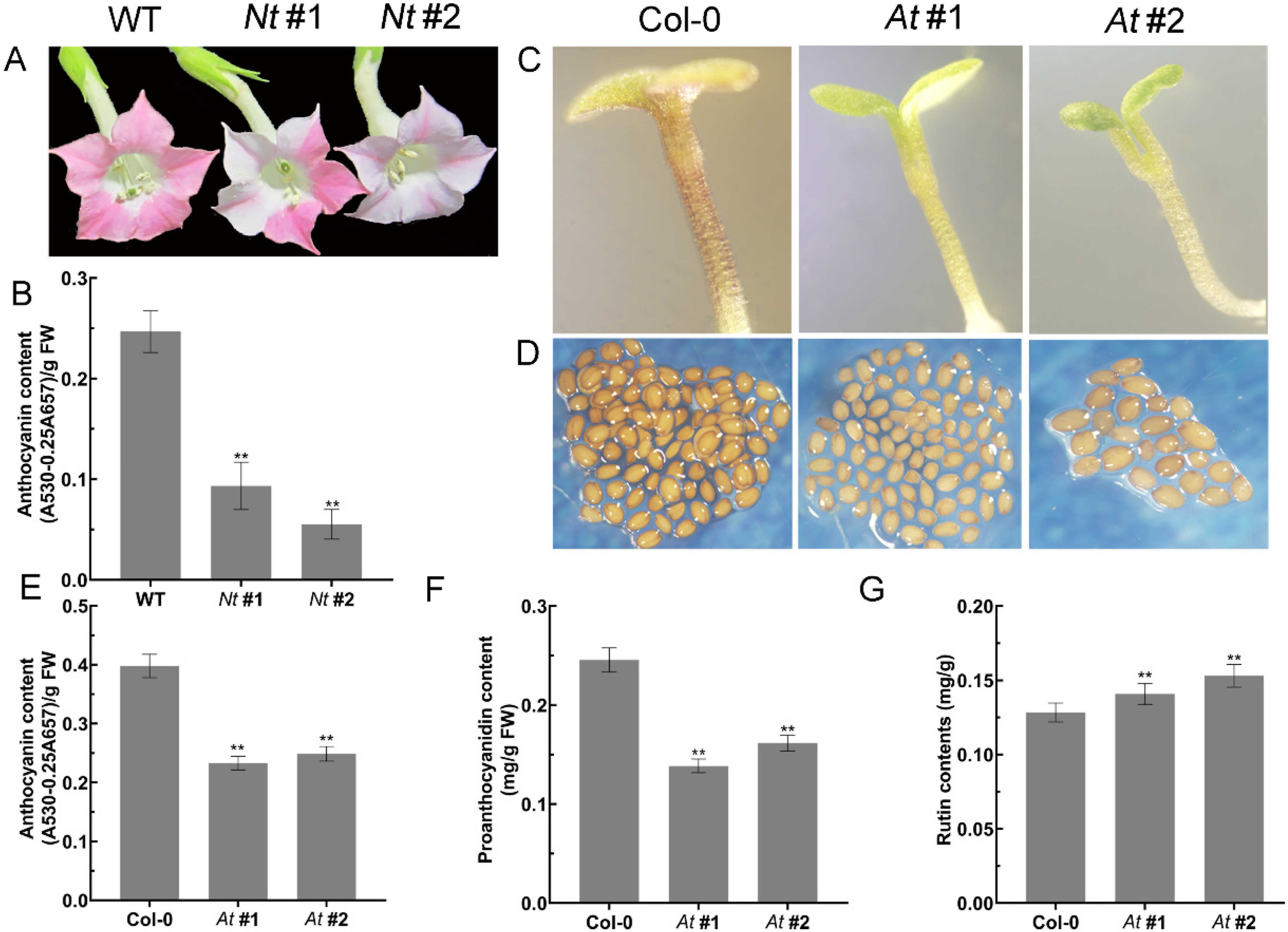 Ijms 23 02775 g004 550