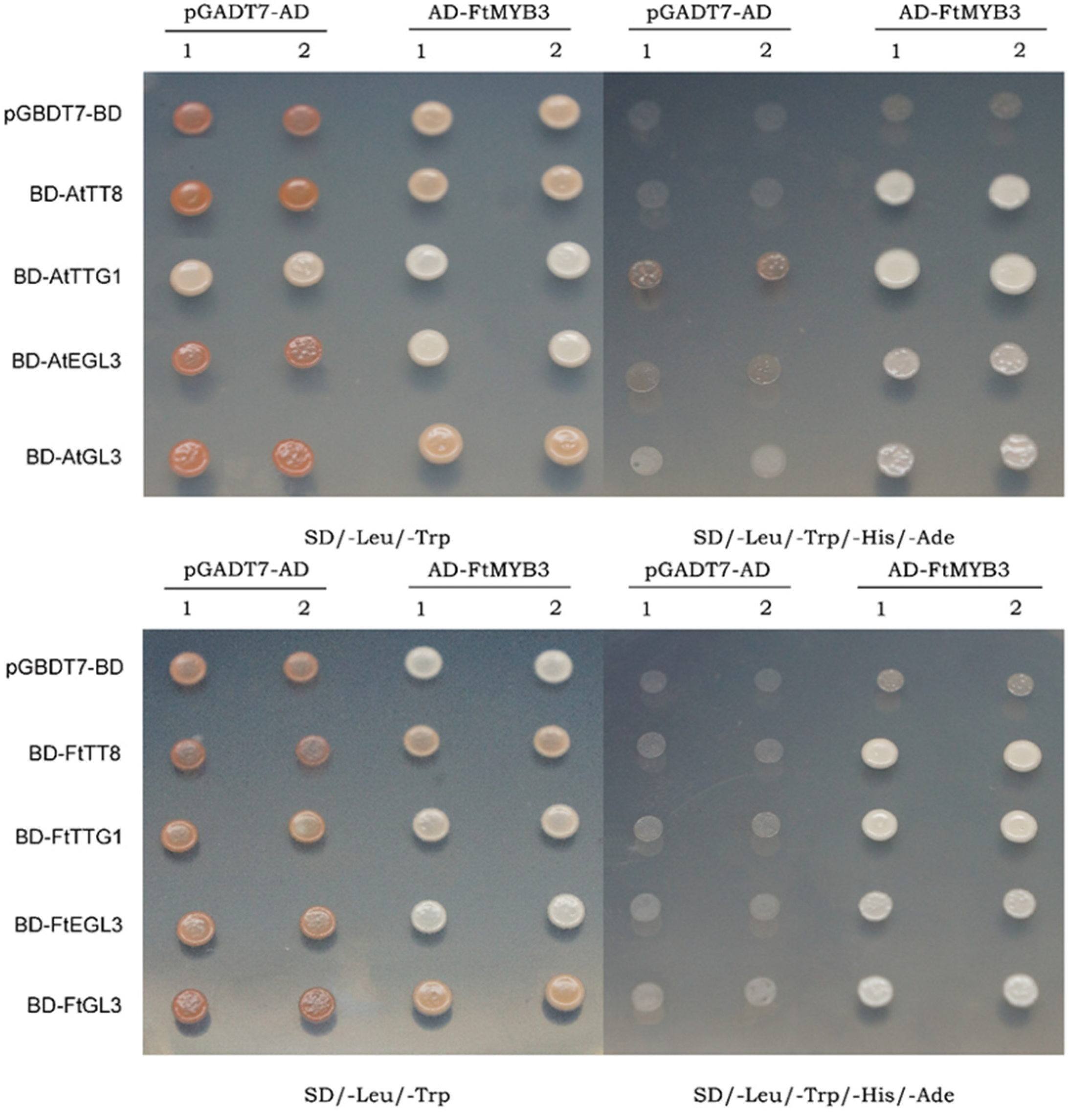 Ijms 23 02775 g006 550