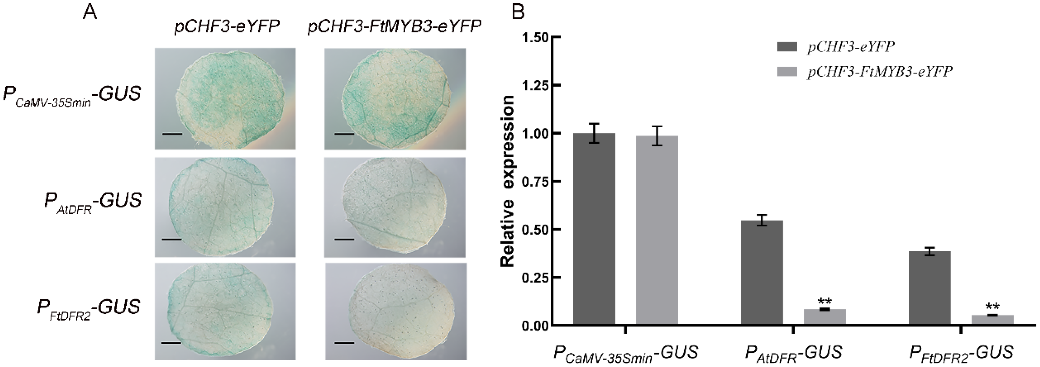 Ijms 23 02775 g007 550