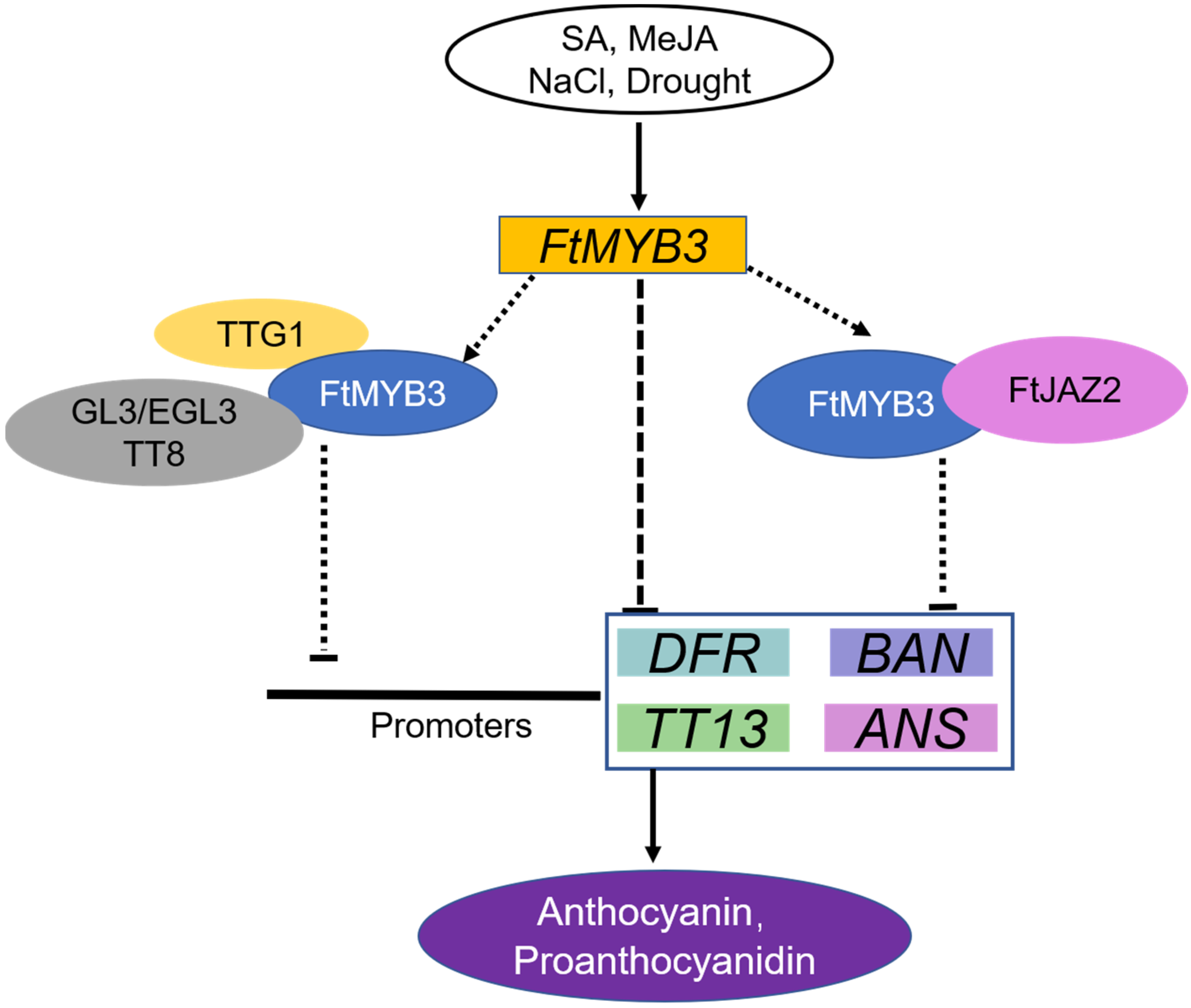 Ijms 23 02775 g008 550