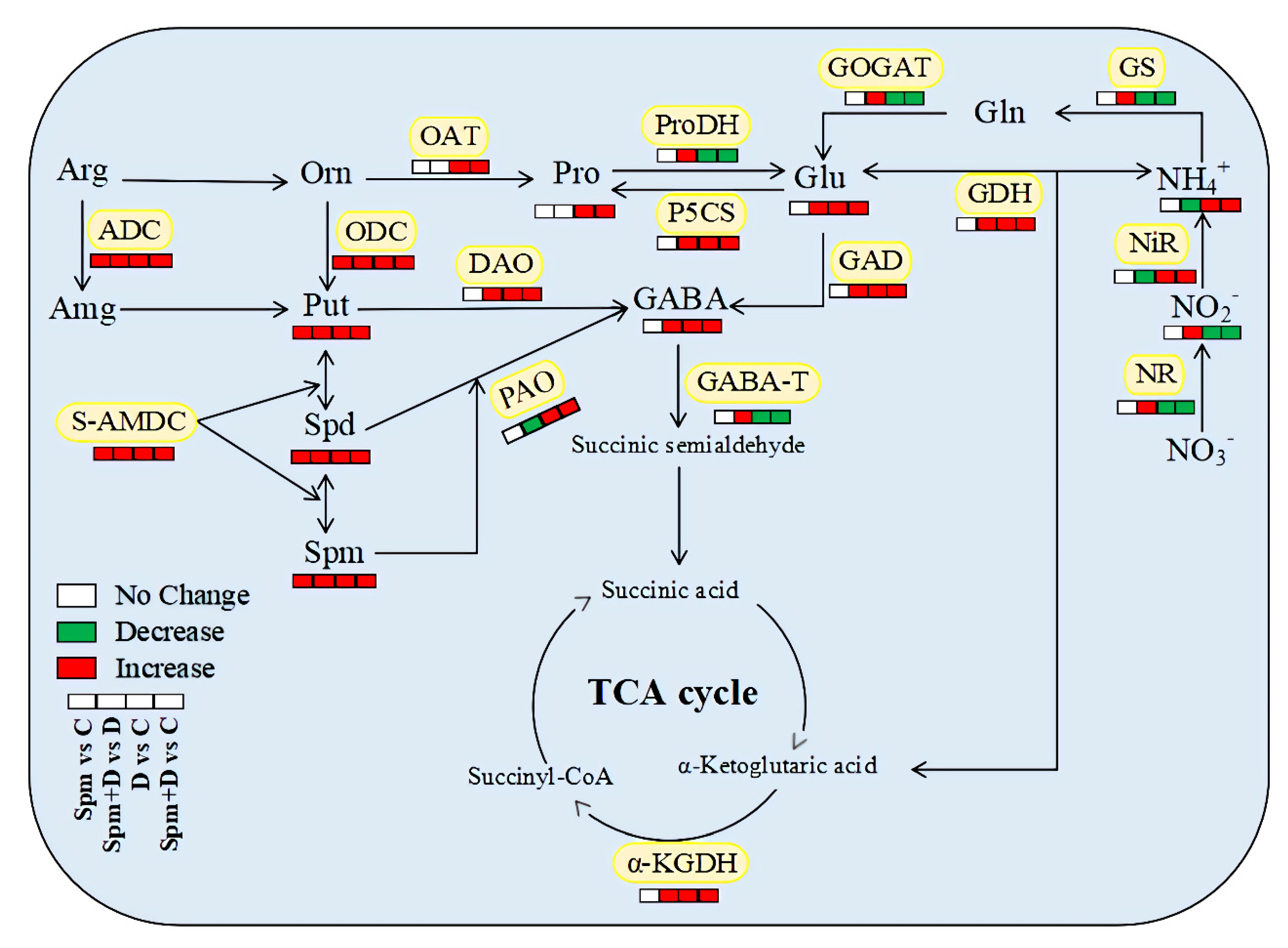 Ijms 23 02779 g007 550