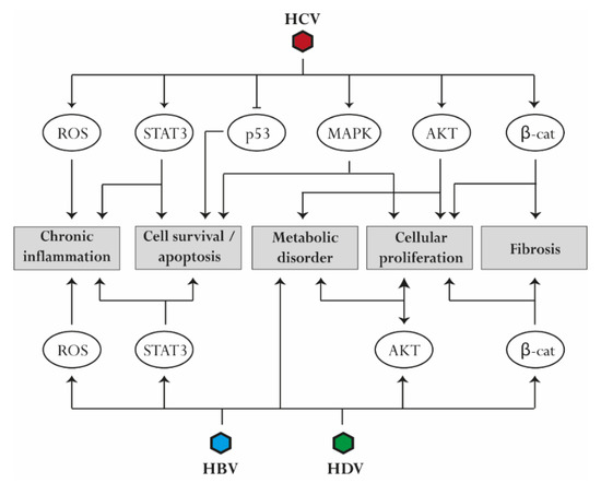 Analysis and optimization of a deep-water in-situ power