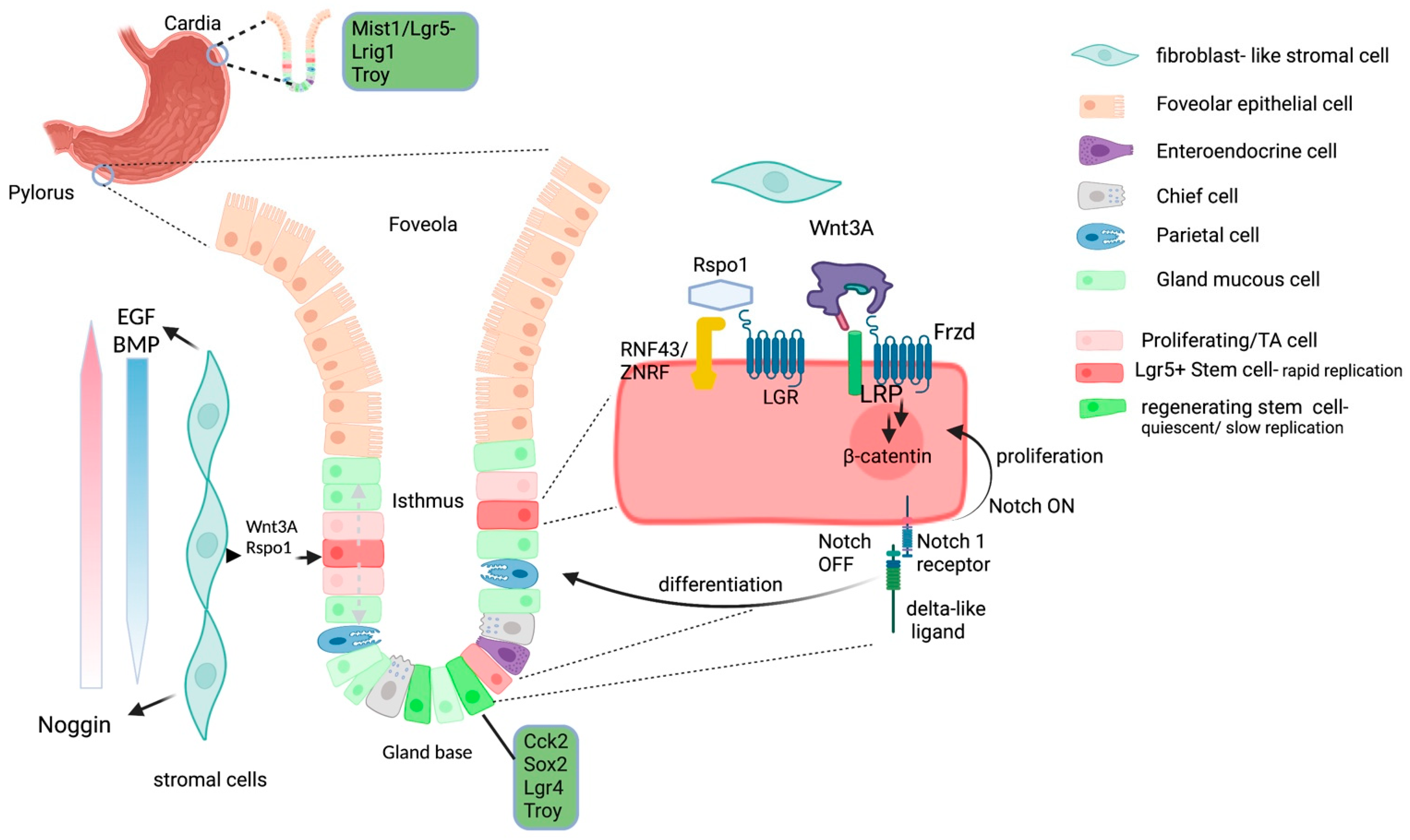 Ijms 23 02790 g001 550