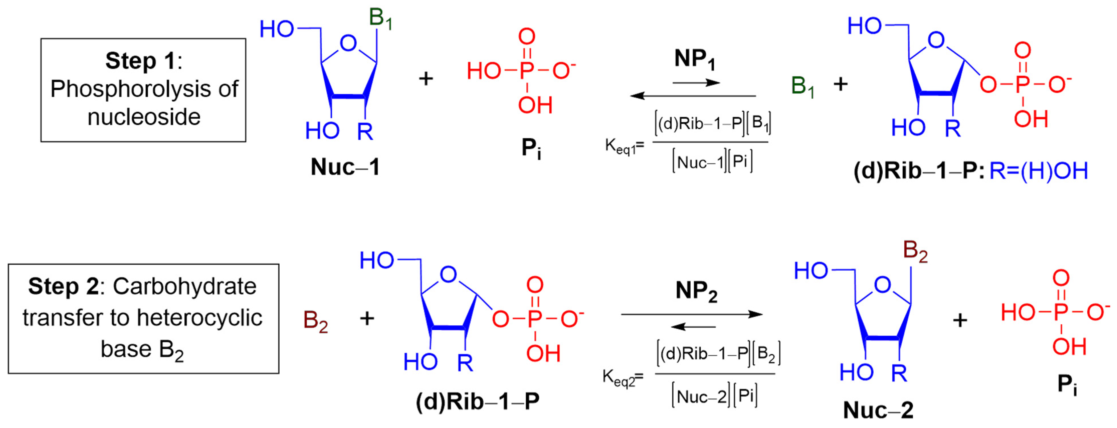 Ijms 23 02795 g001 550