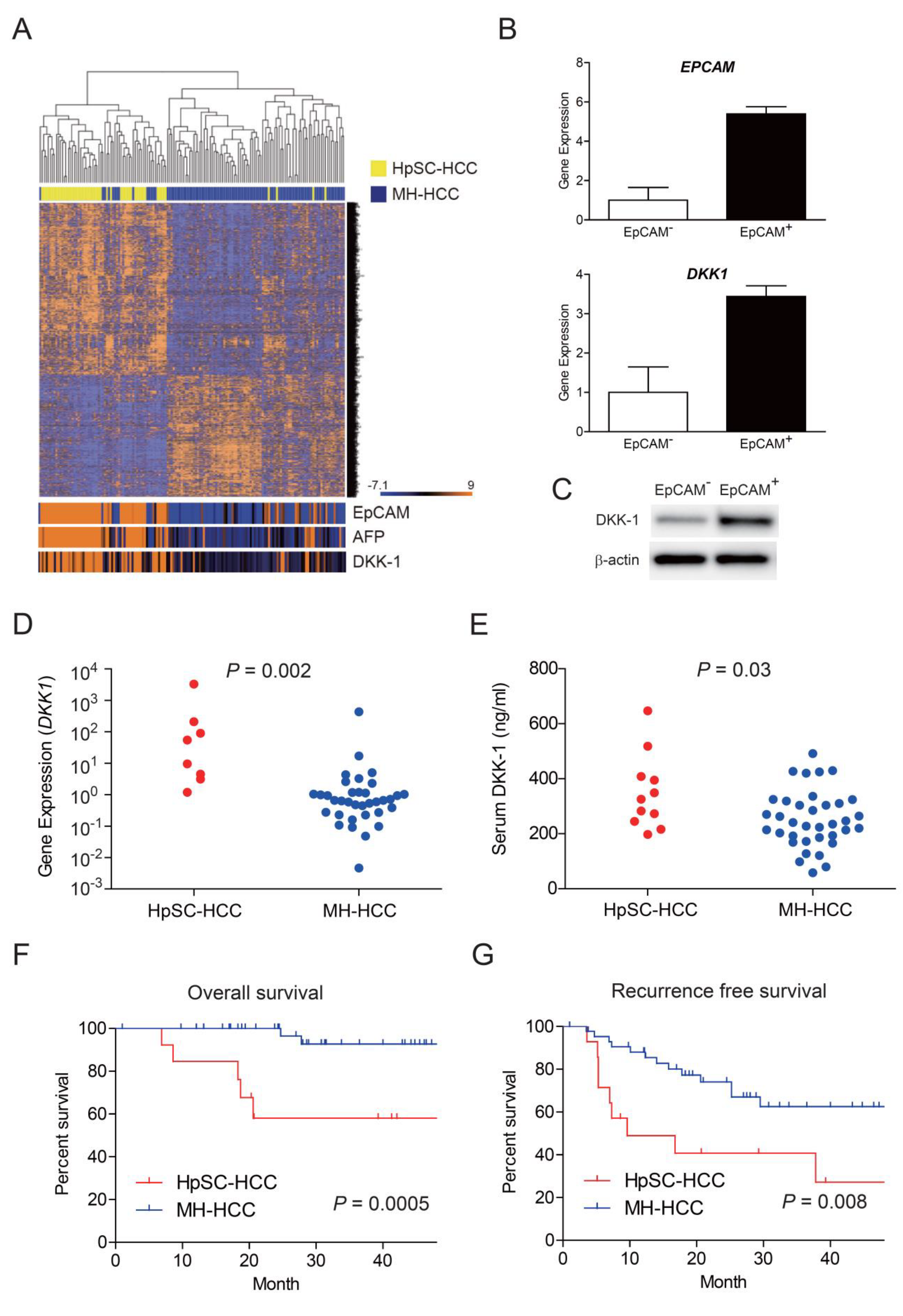 Ijms 23 02801 g001 Ijms 23 02801 g001