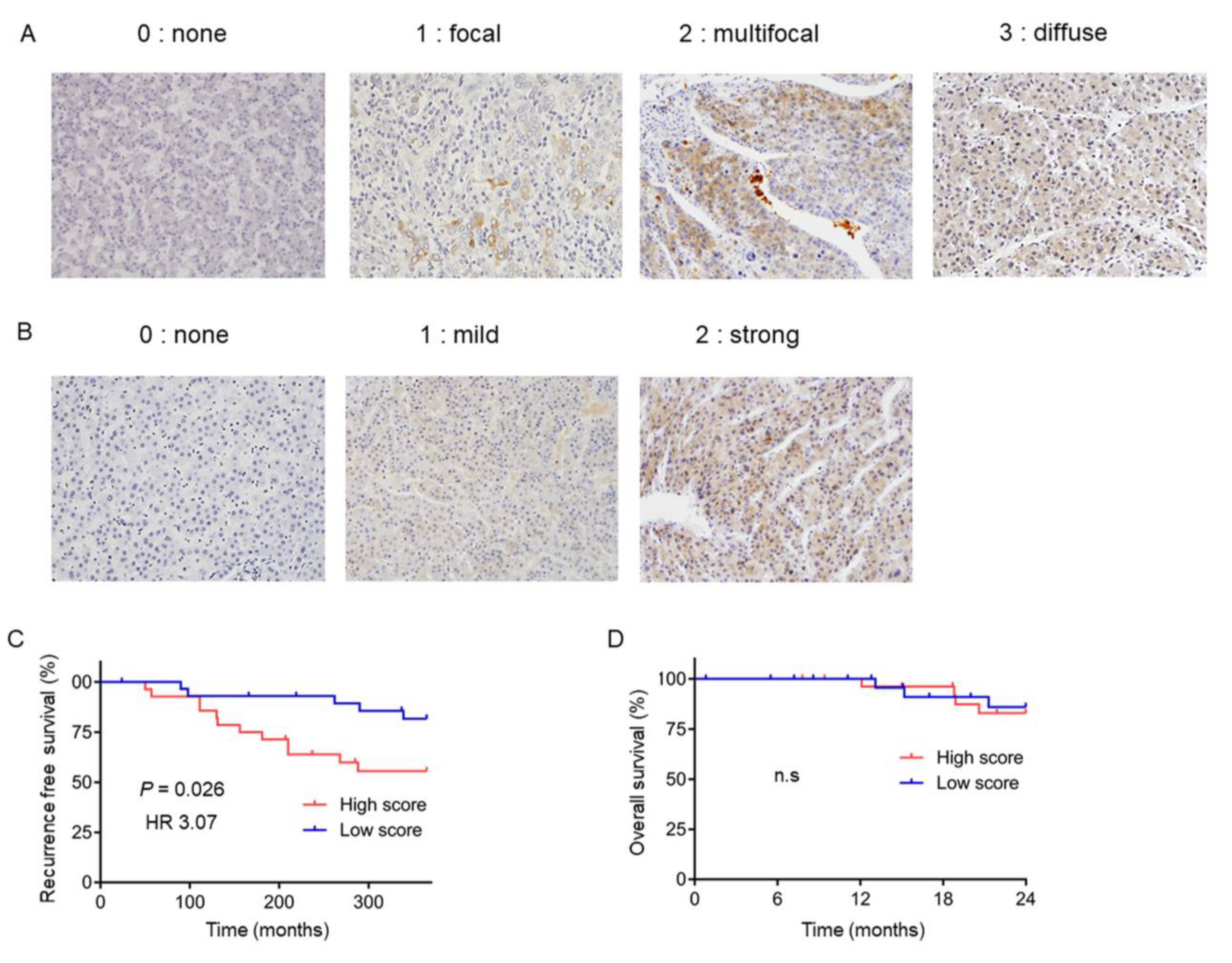 Ijms 23 02801 g005 Ijms 23 02801 g005