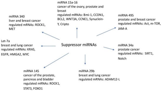 IJMS | Free Full-Text | miRNAs in Cancer (Review of Literature) | HTML