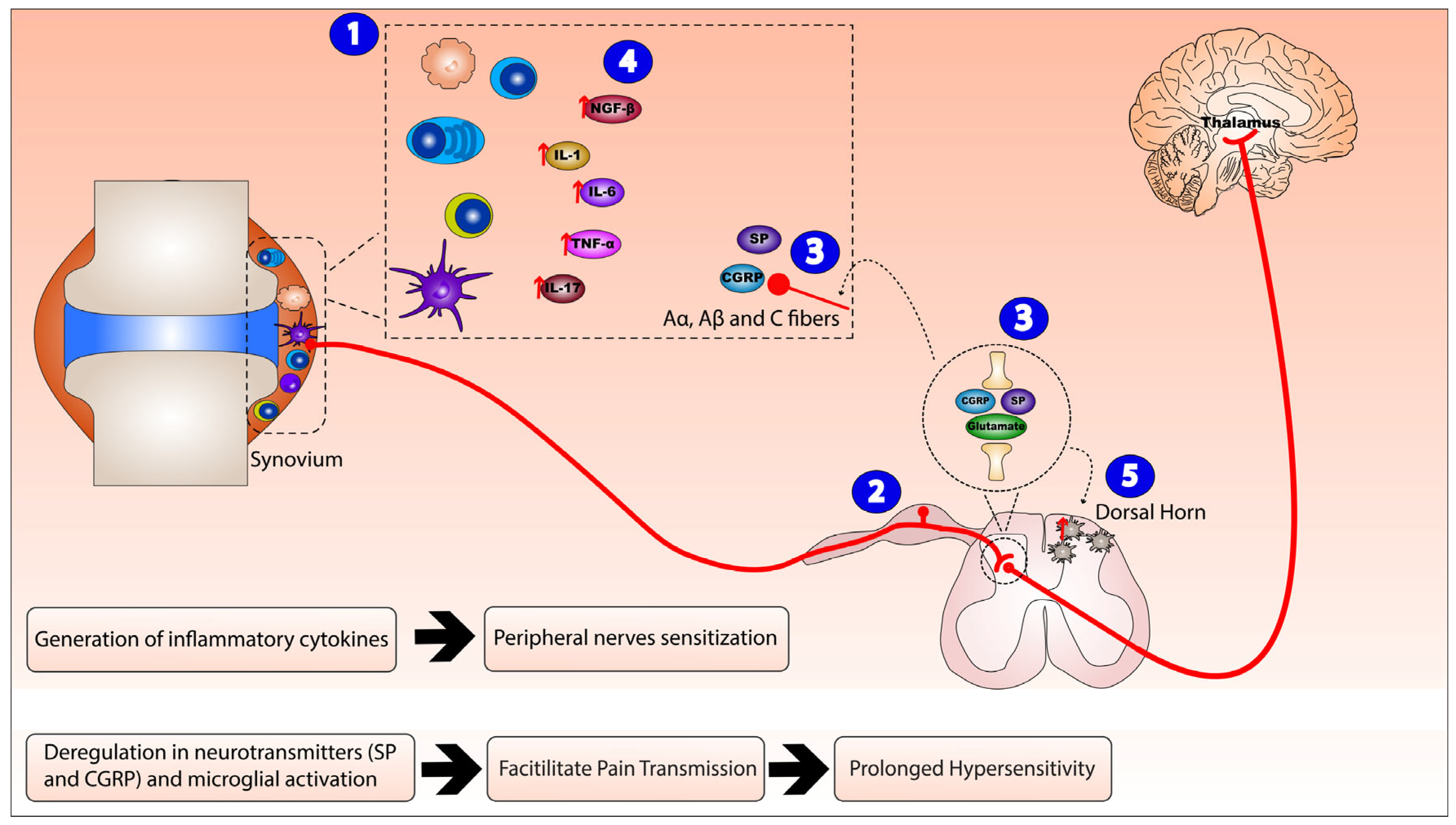 Ijms 23 02806 g001 Ijms 23 02806 g001
