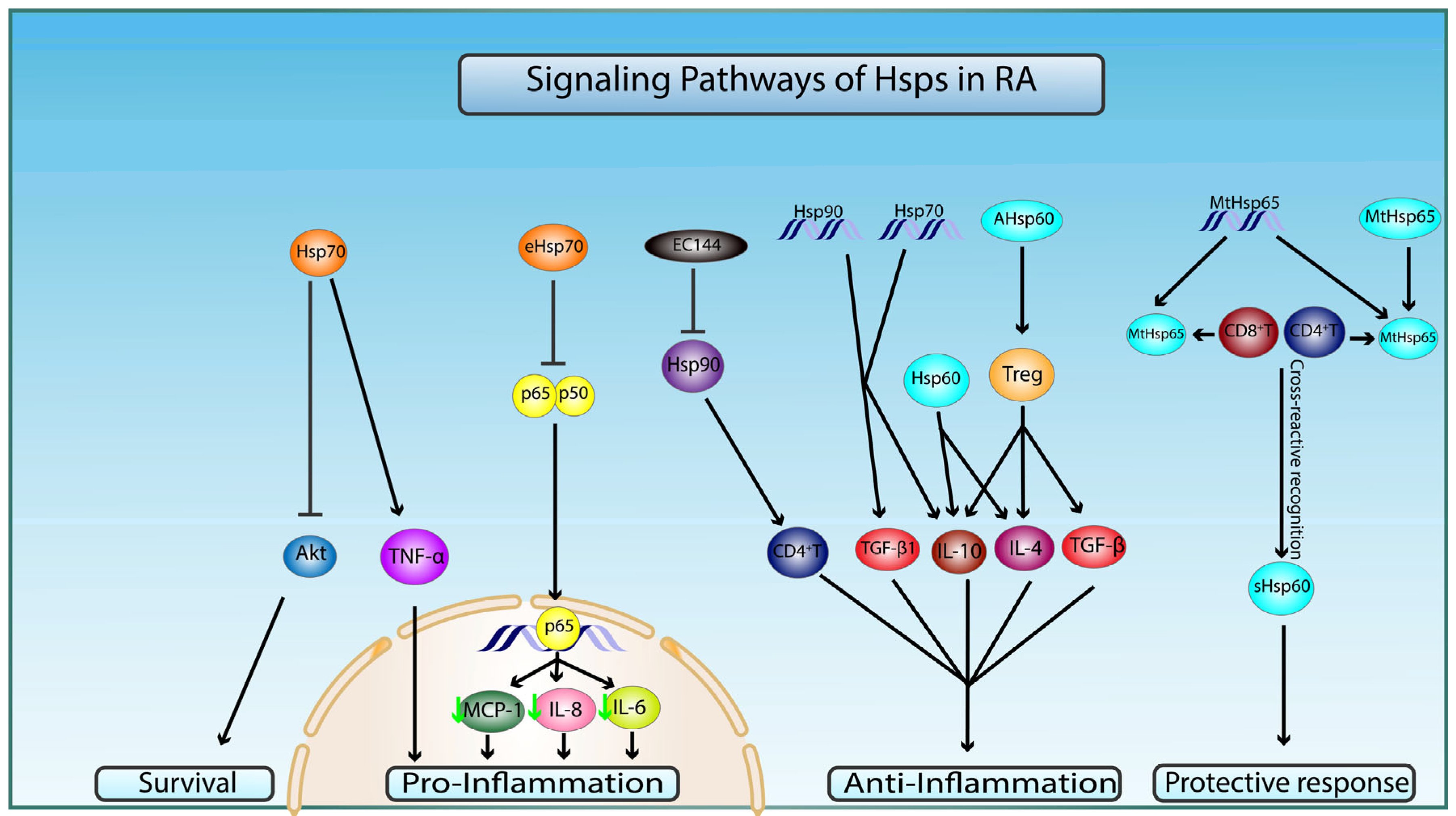 Ijms 23 02806 g003 Ijms 23 02806 g003