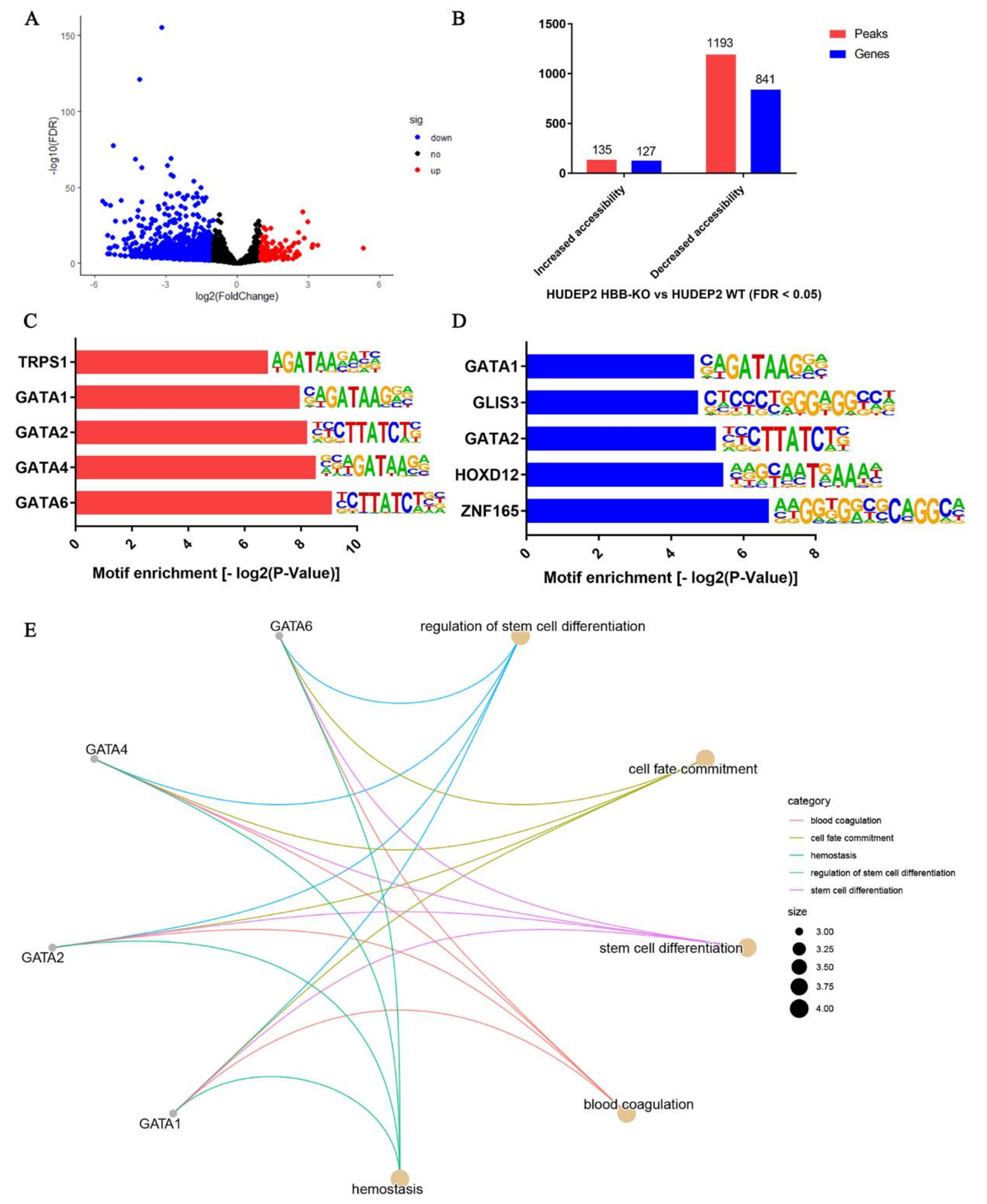 Ijms 23 02807 g001 Ijms 23 02807 g001