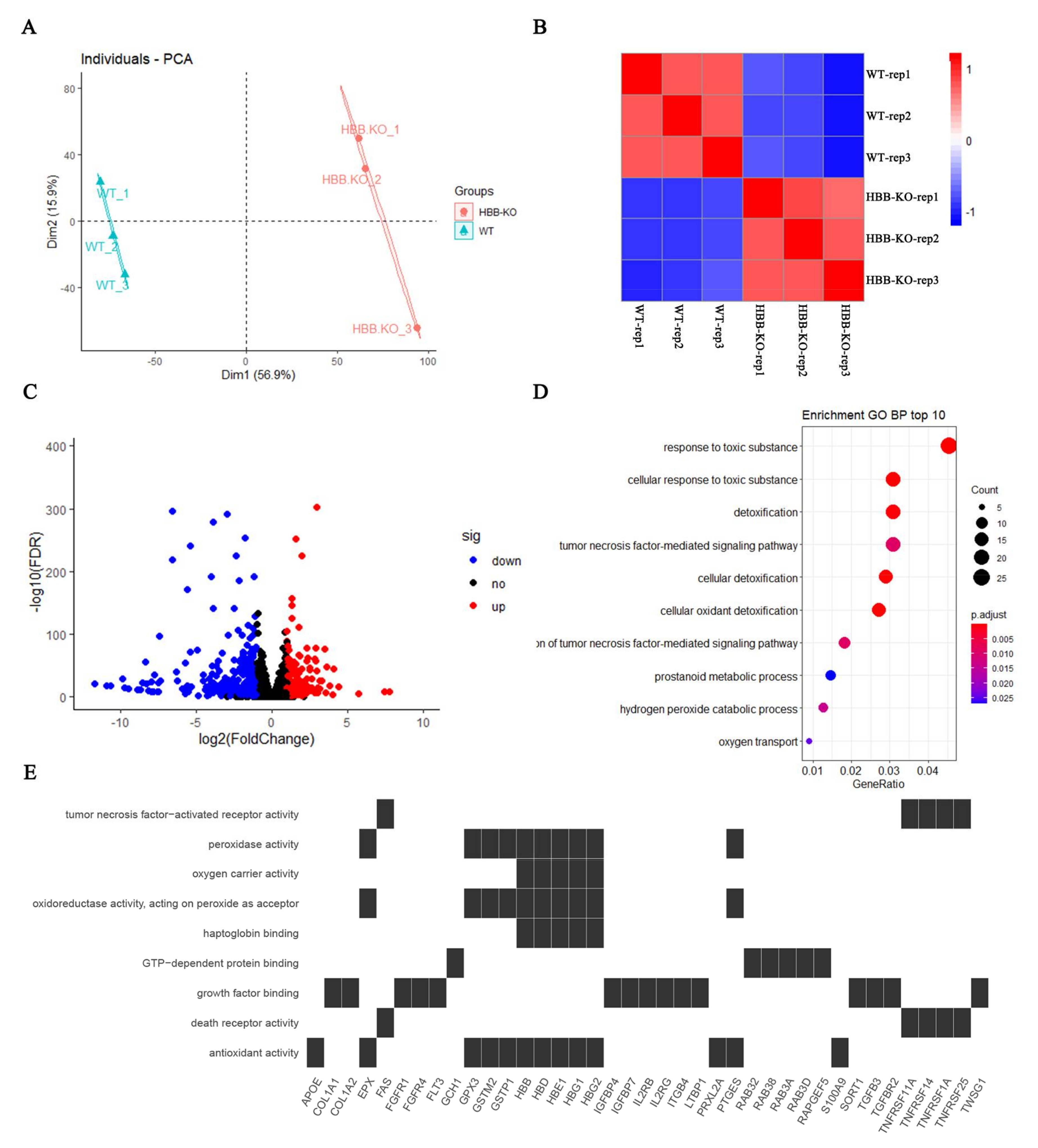 Ijms 23 02807 g002 Ijms 23 02807 g002