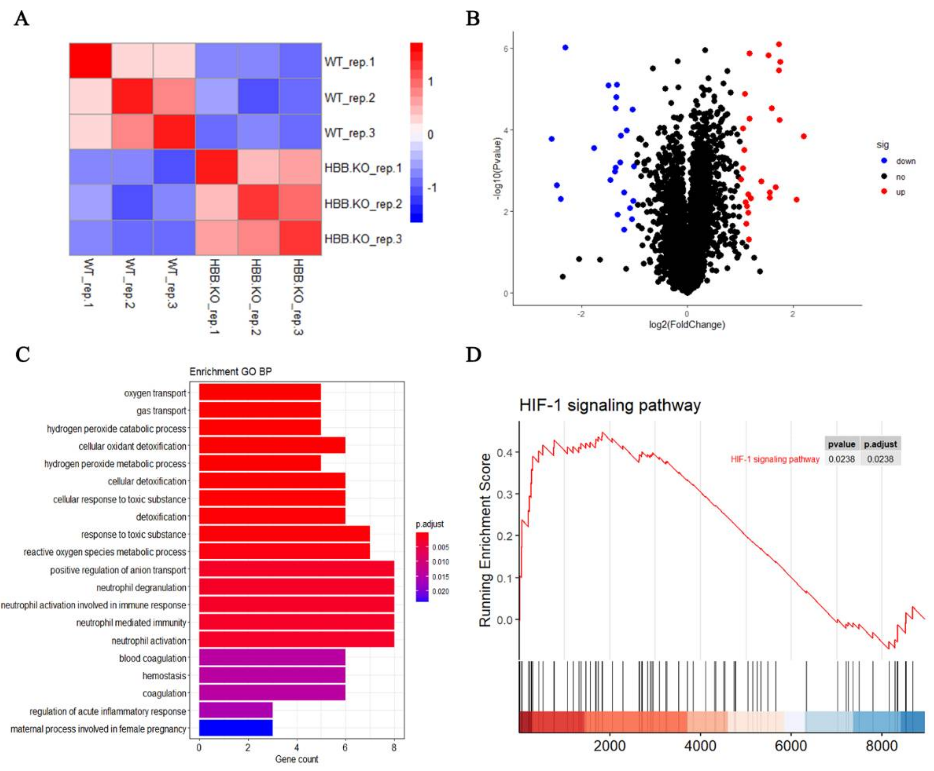 Ijms 23 02807 g003 Ijms 23 02807 g003