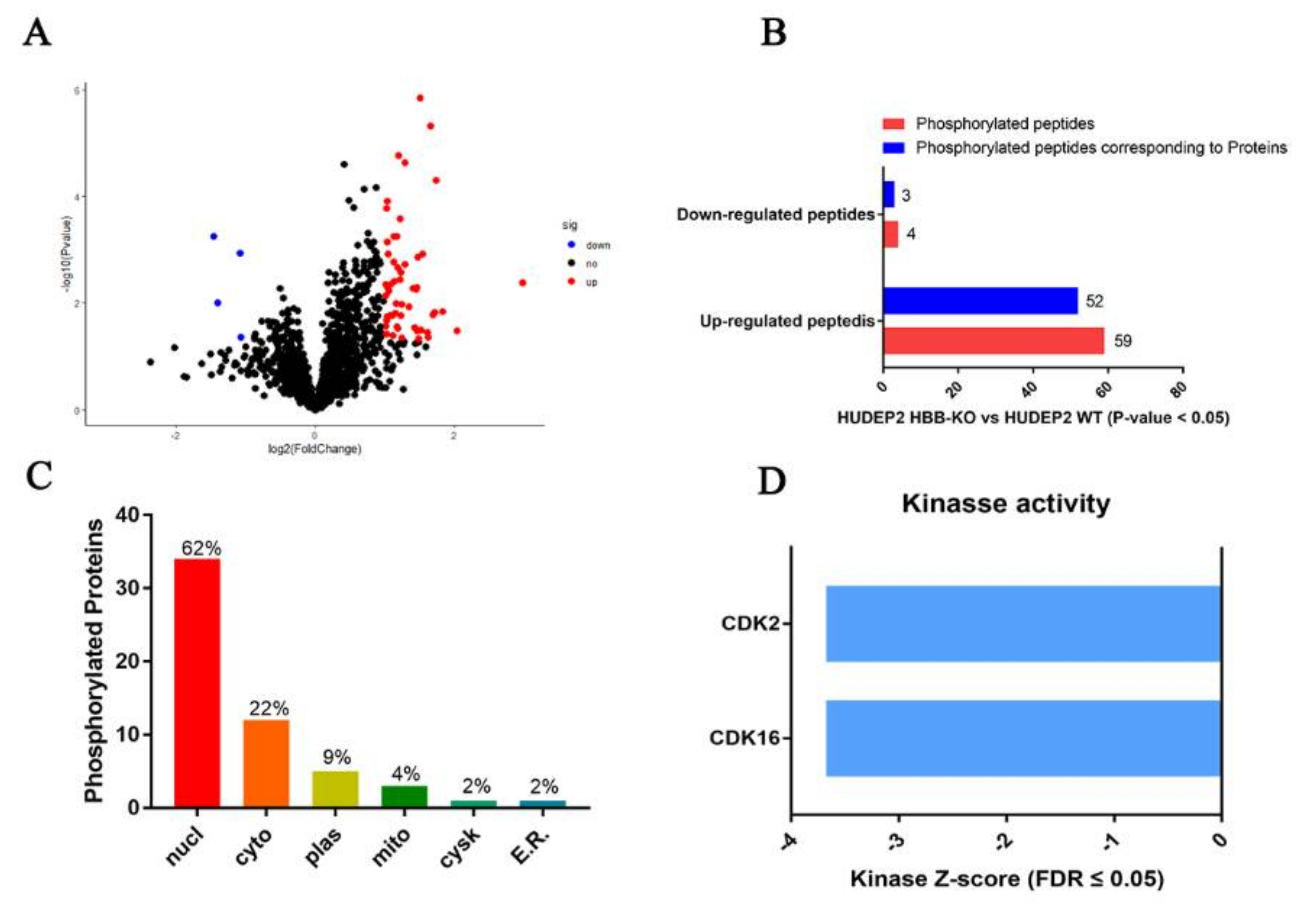 Ijms 23 02807 g004 Ijms 23 02807 g004