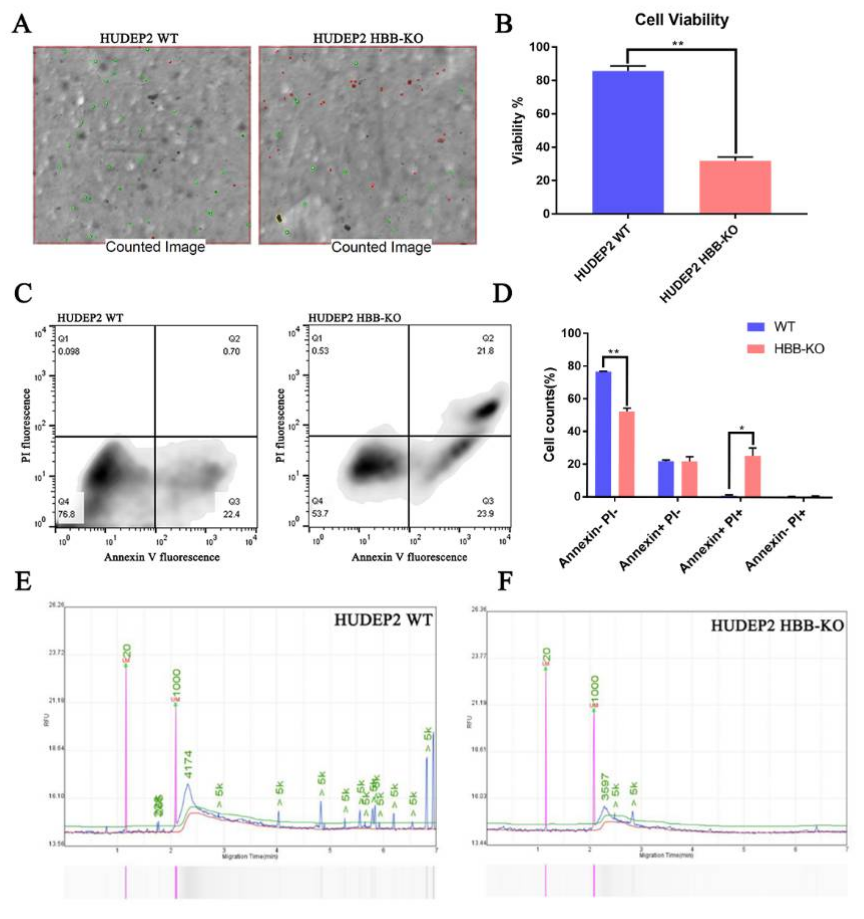 Ijms 23 02807 g005 Ijms 23 02807 g005