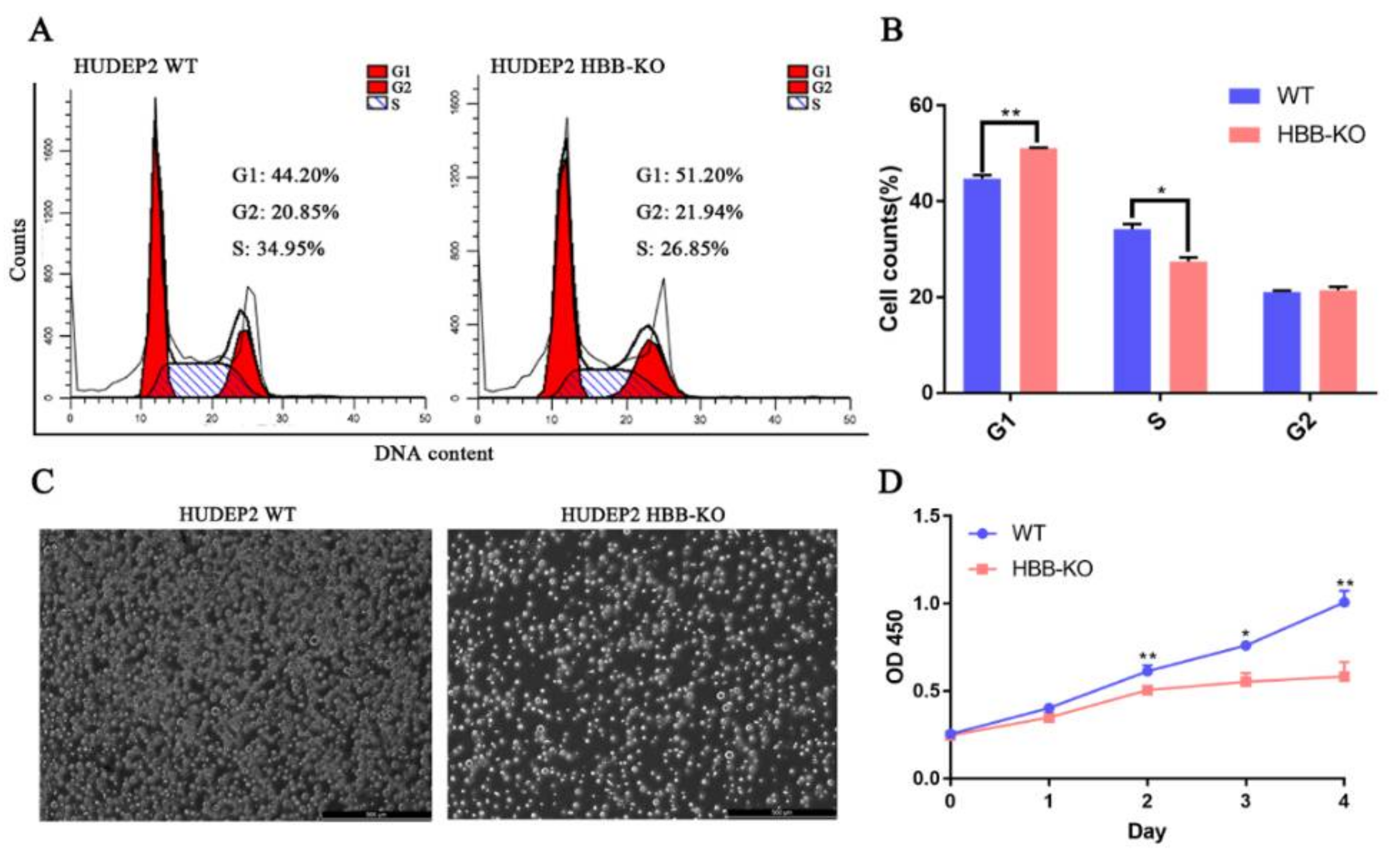Ijms 23 02807 g006 Ijms 23 02807 g006
