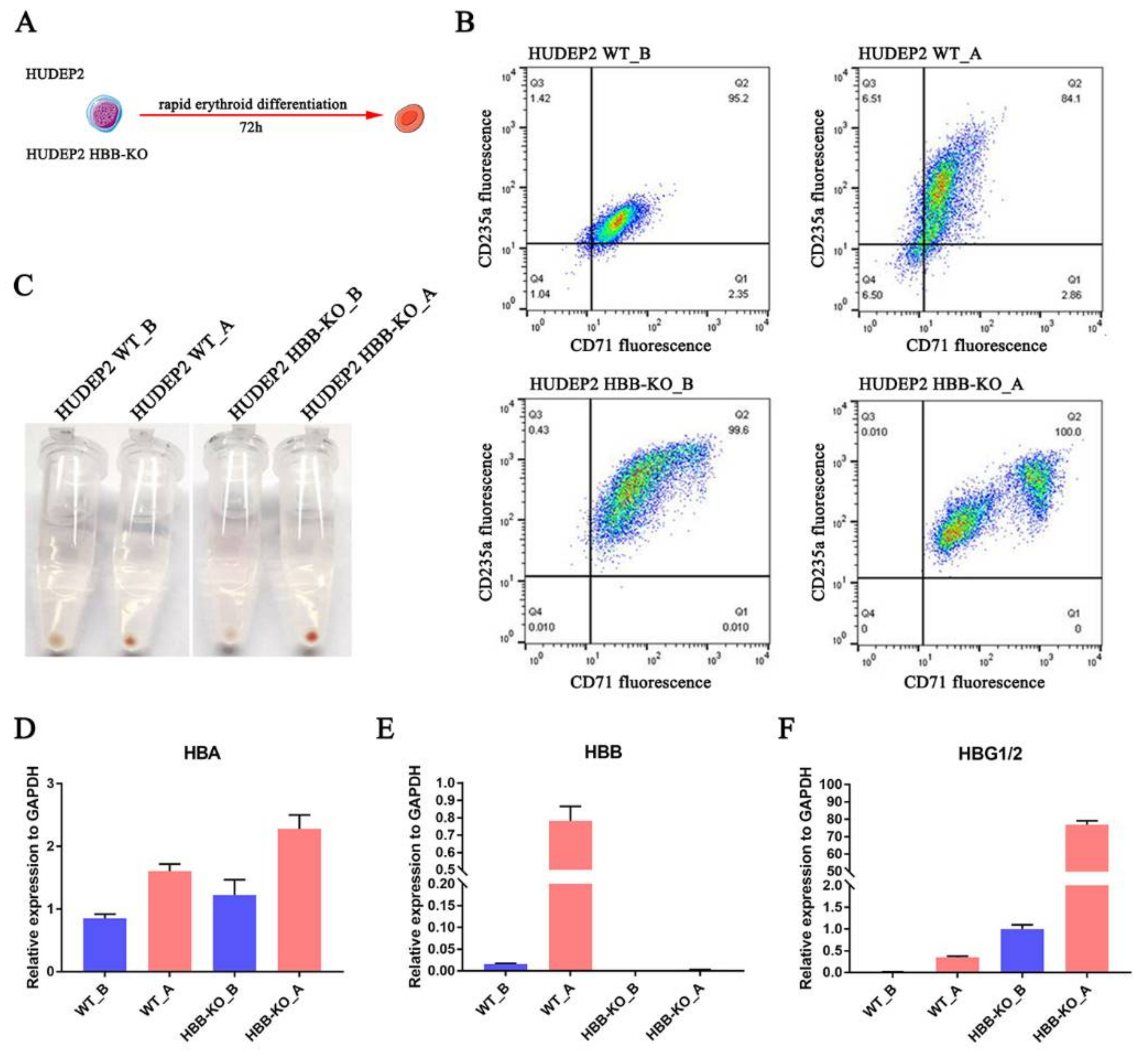 Ijms 23 02807 g007 Ijms 23 02807 g007
