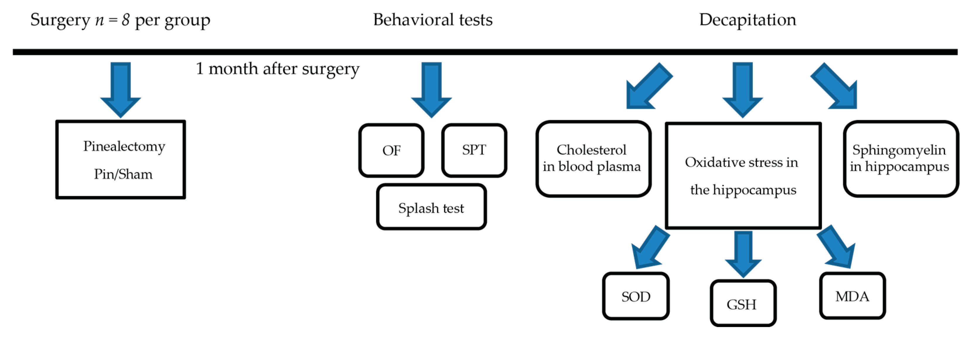 Ijms 23 02809 g008 Ijms 23 02809 g008