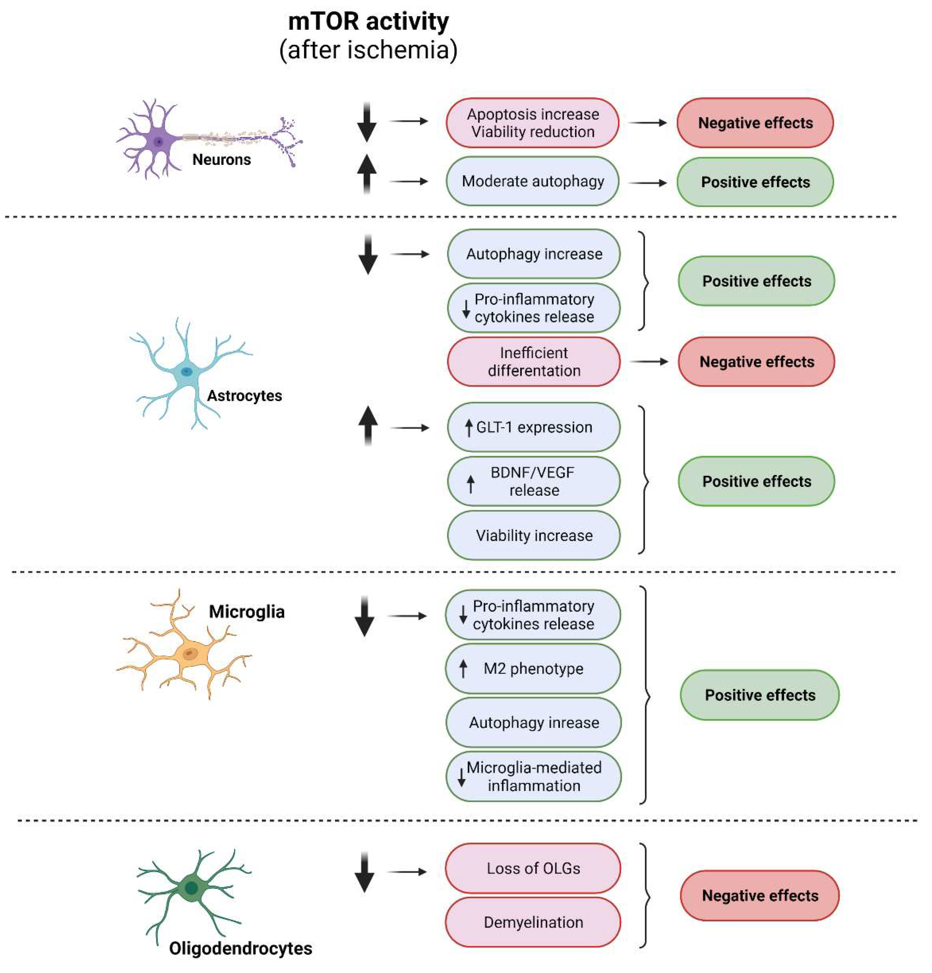 Ijms 23 02814 g006 550