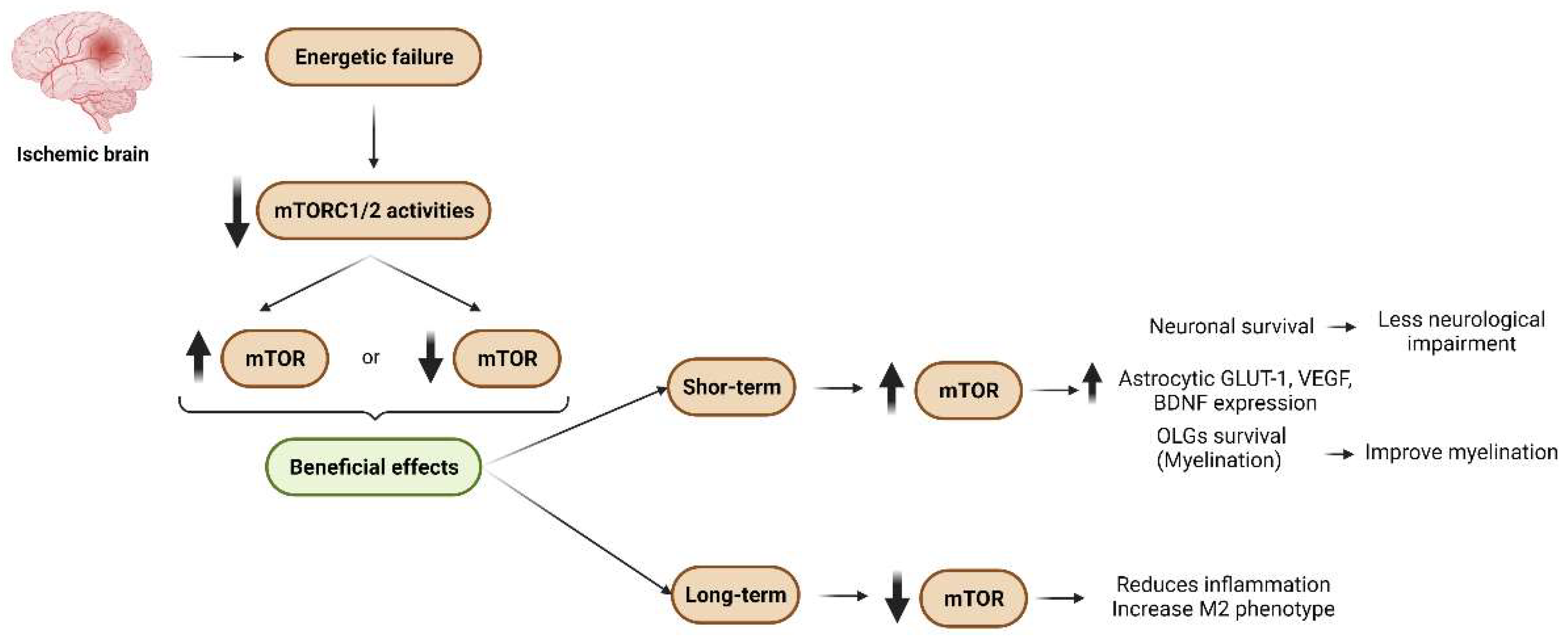 Ijms 23 02814 g007 550