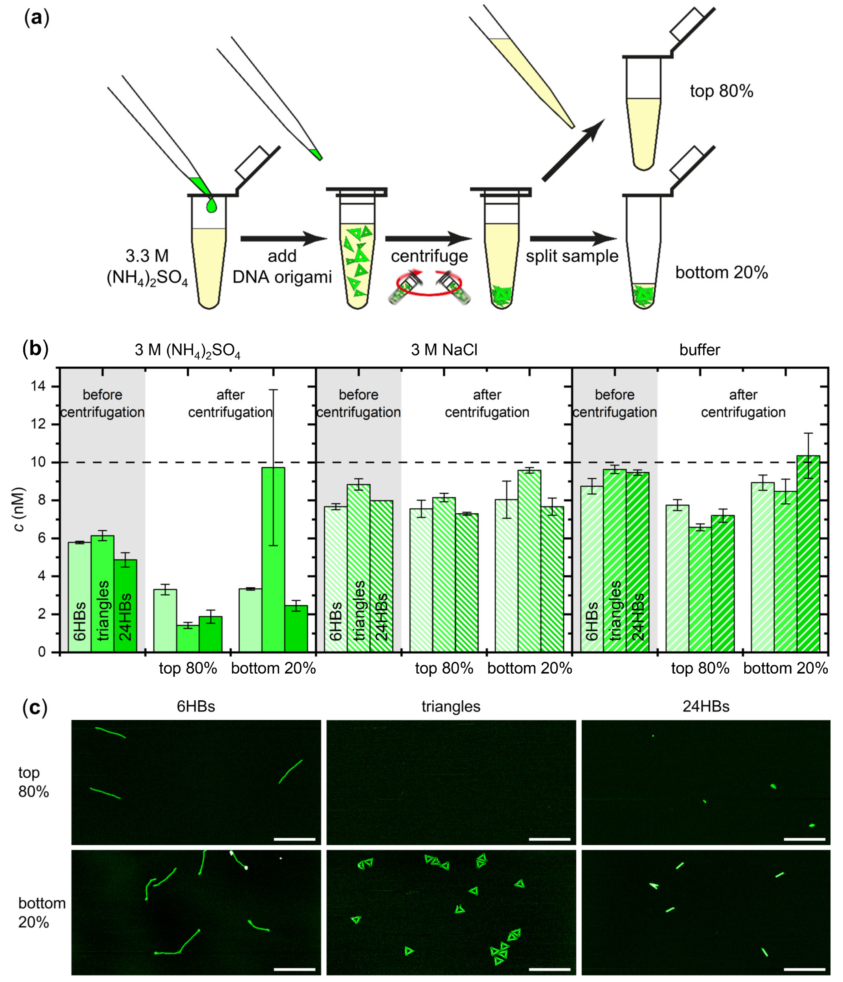 Ijms 23 02817 g002 550