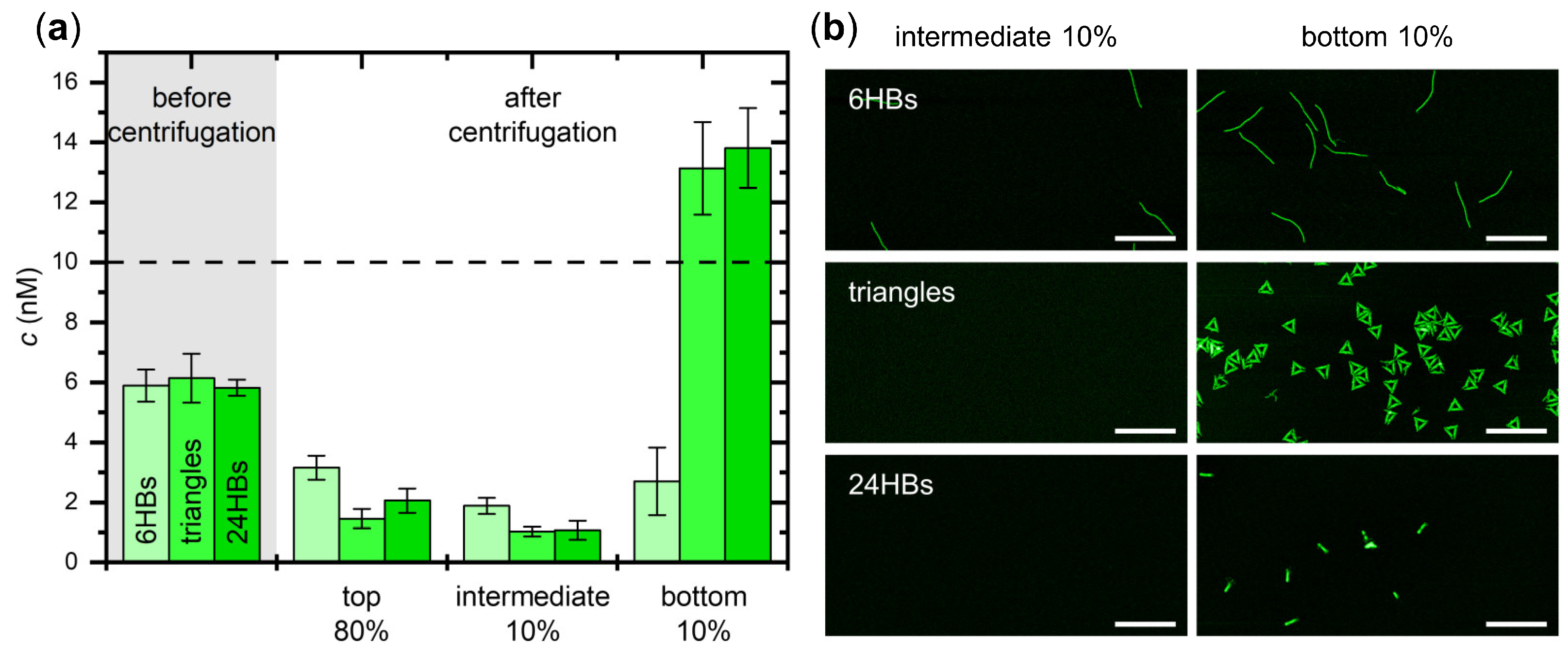 Ijms 23 02817 g003 550