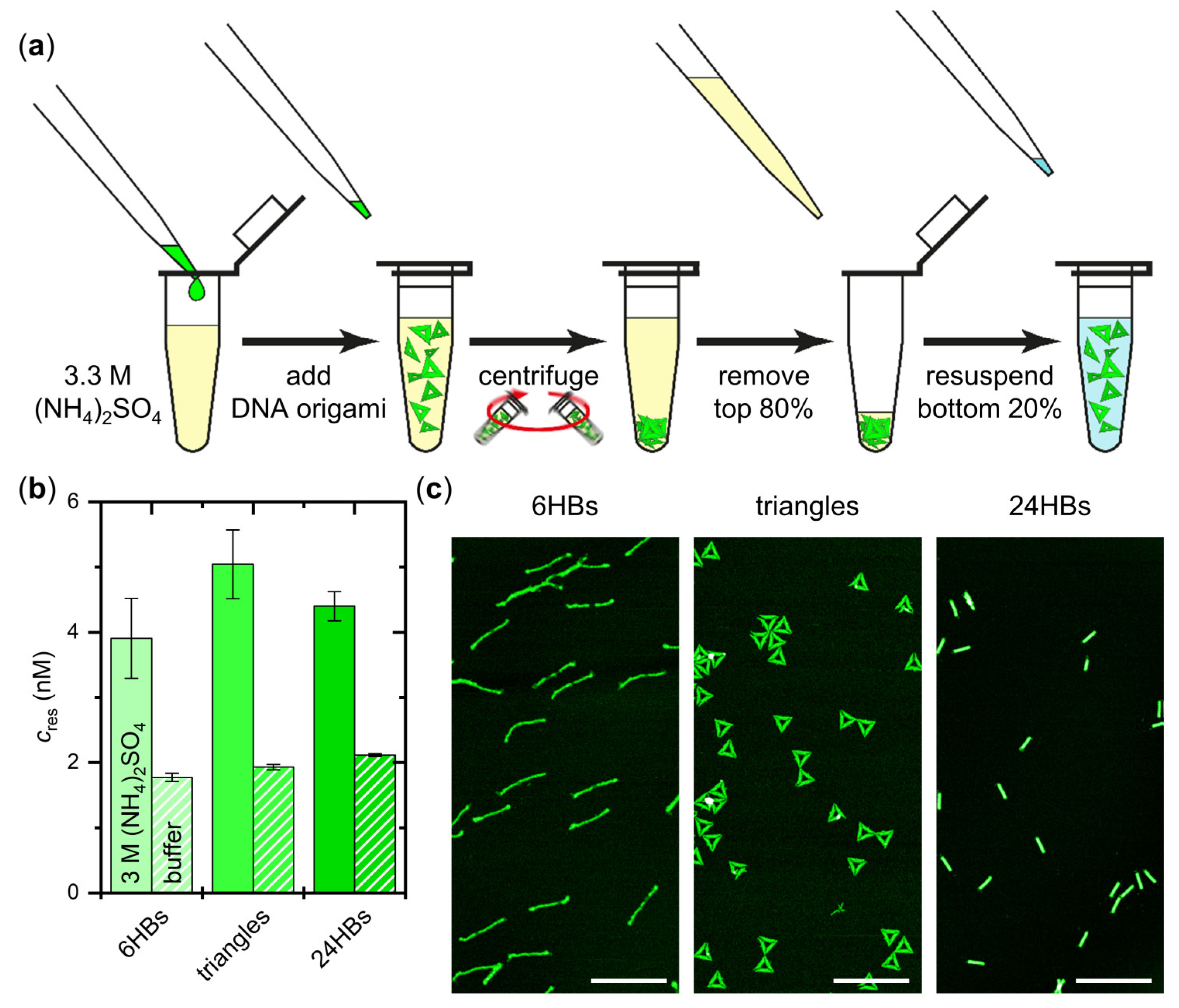 Ijms 23 02817 g004 550