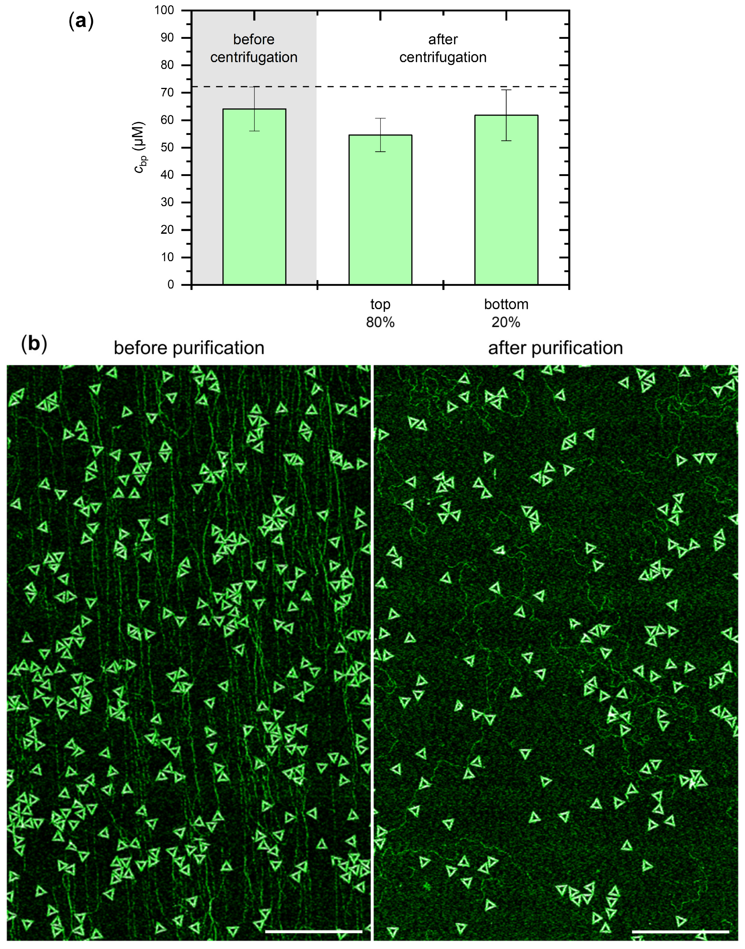 Ijms 23 02817 g005 550