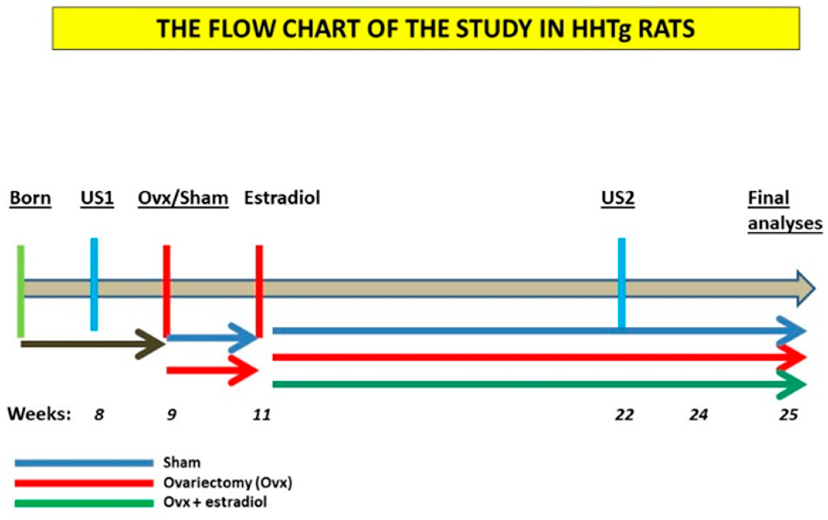 Ijms 23 02825 g004 550