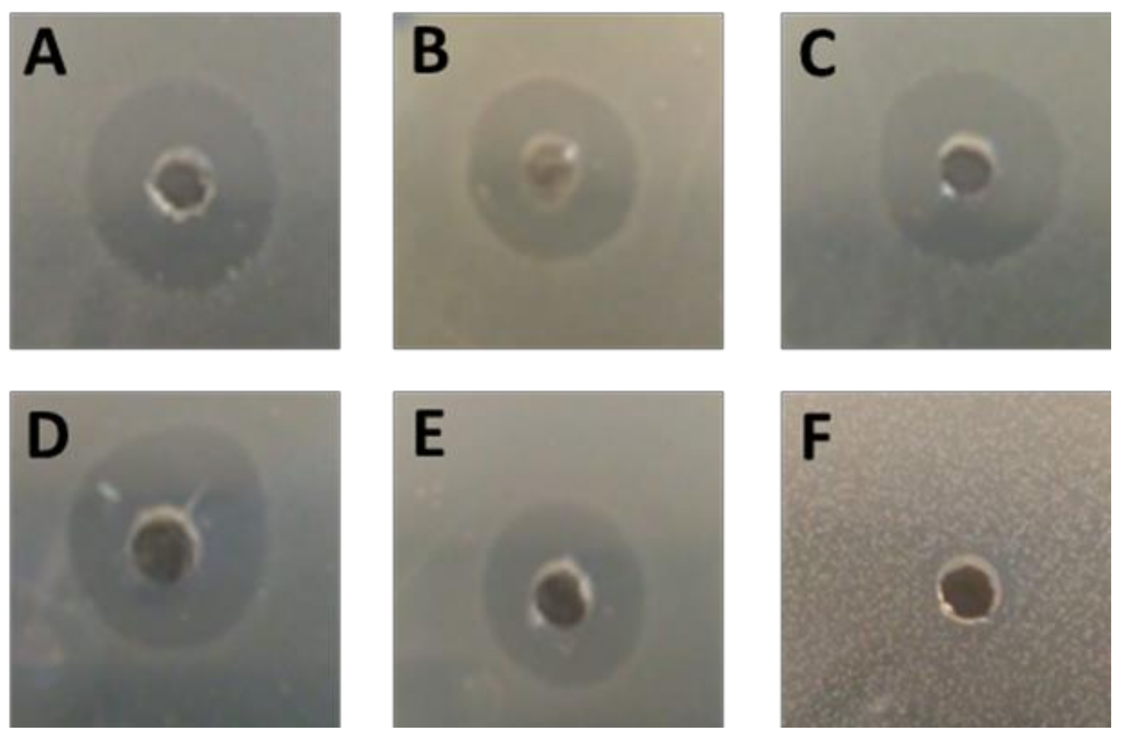 Ijms 23 02833 g001 550