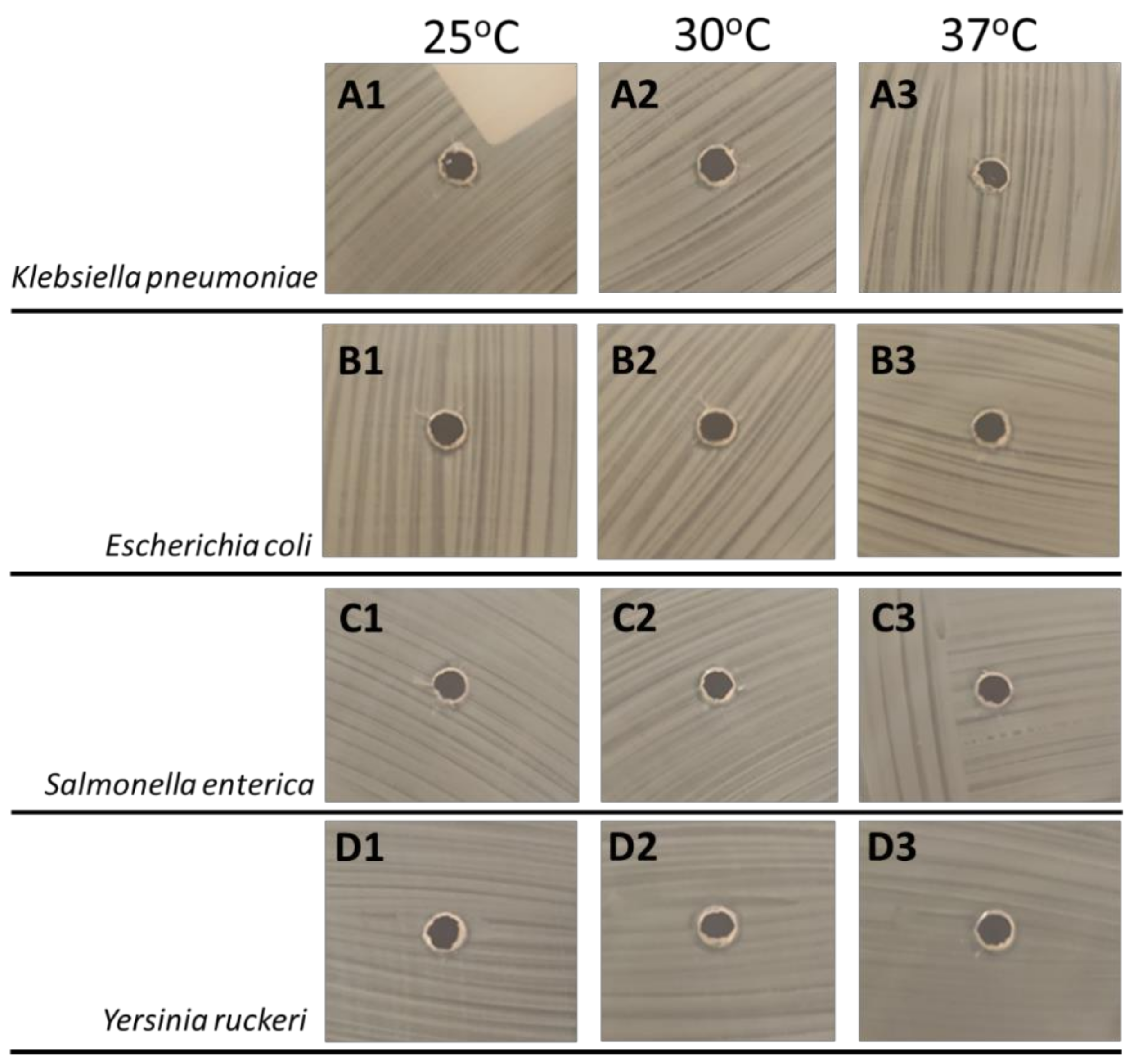 Ijms 23 02833 g003 550