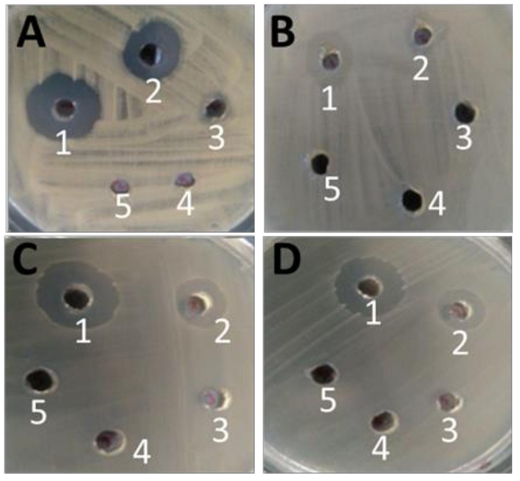 Ijms 23 02833 g004 550