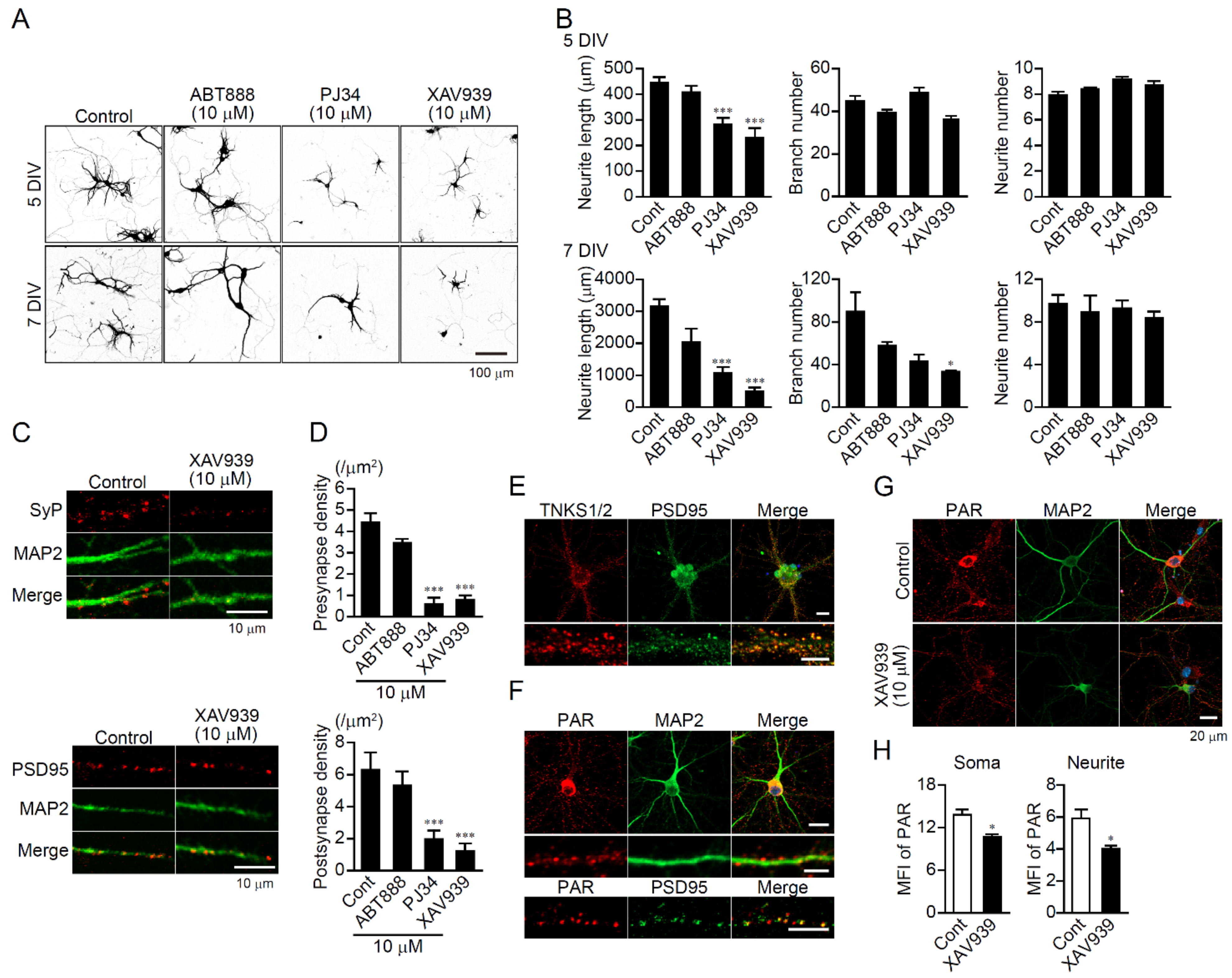 Ijms 23 02834 g001 550