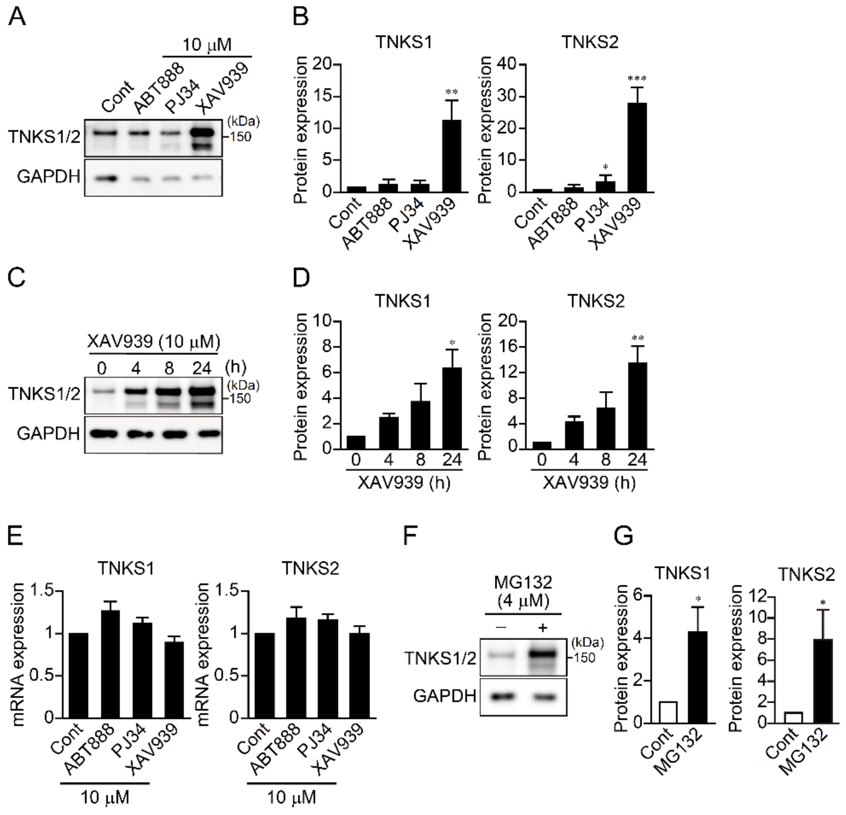 Ijms 23 02834 g003 550