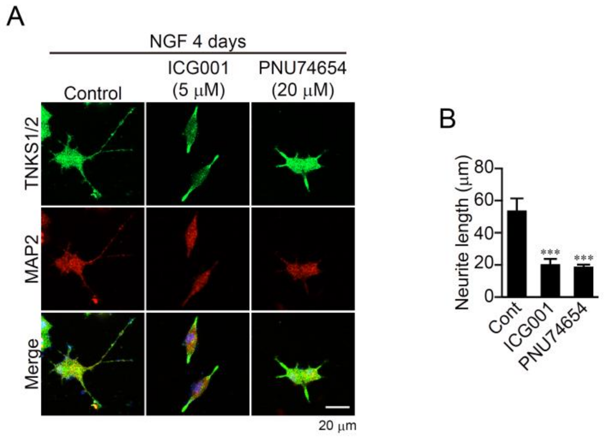 Ijms 23 02834 g004 550
