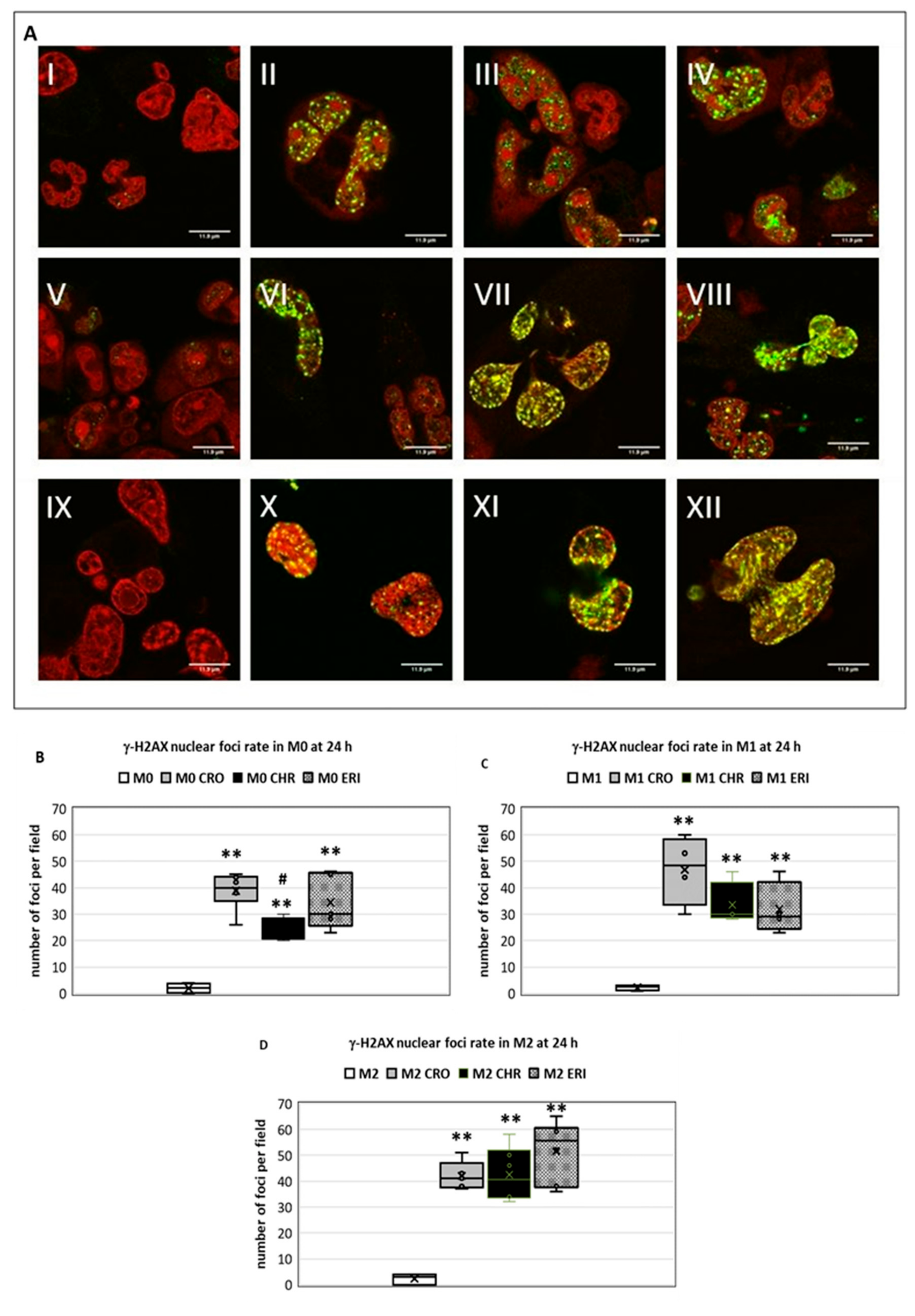 Ijms 23 02840 g007 550