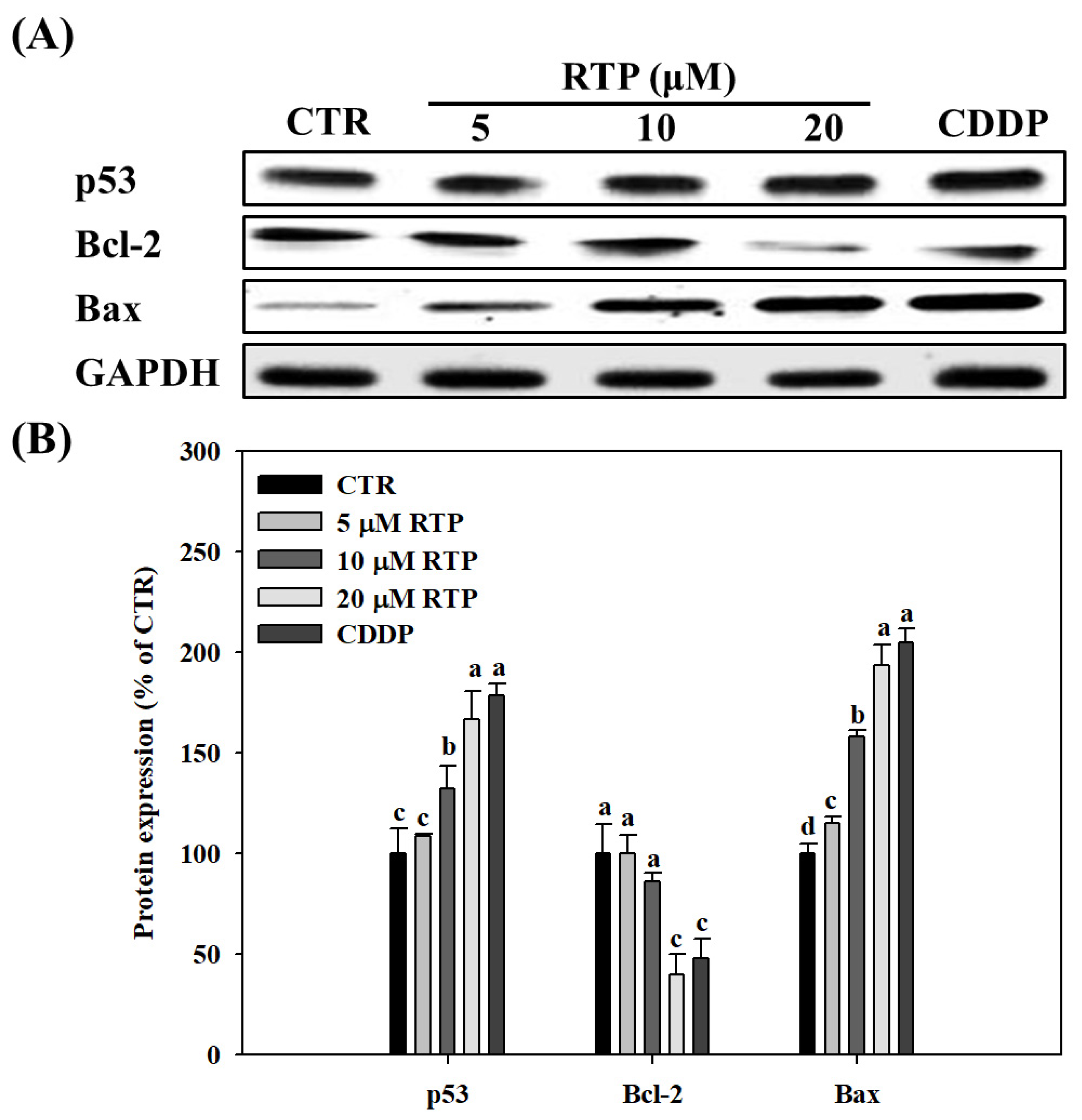 Ijms 23 02843 g004 550