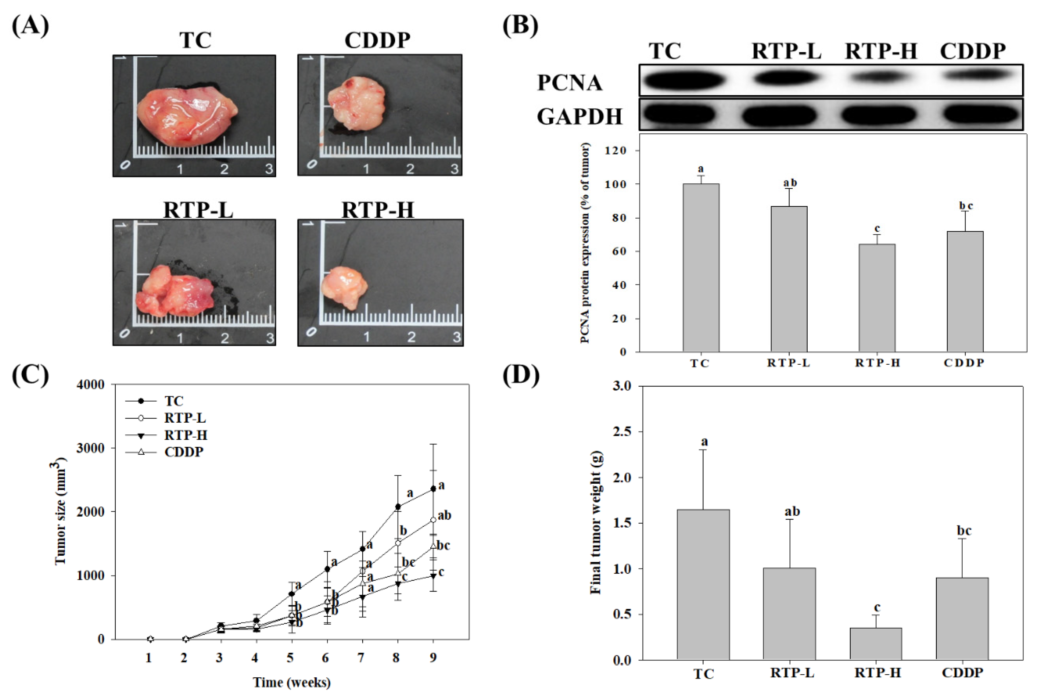 Ijms 23 02843 g005 550