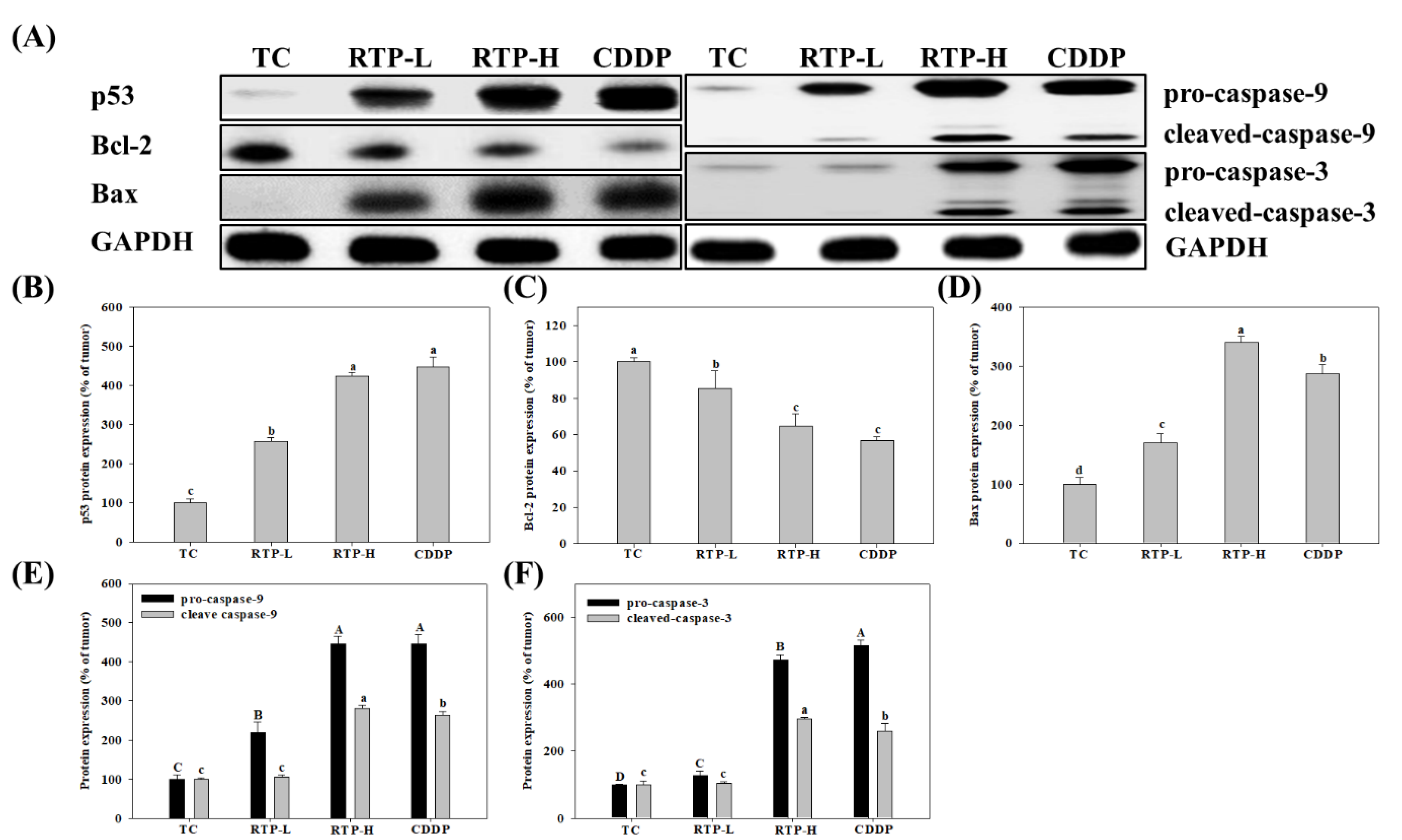 Ijms 23 02843 g006 550