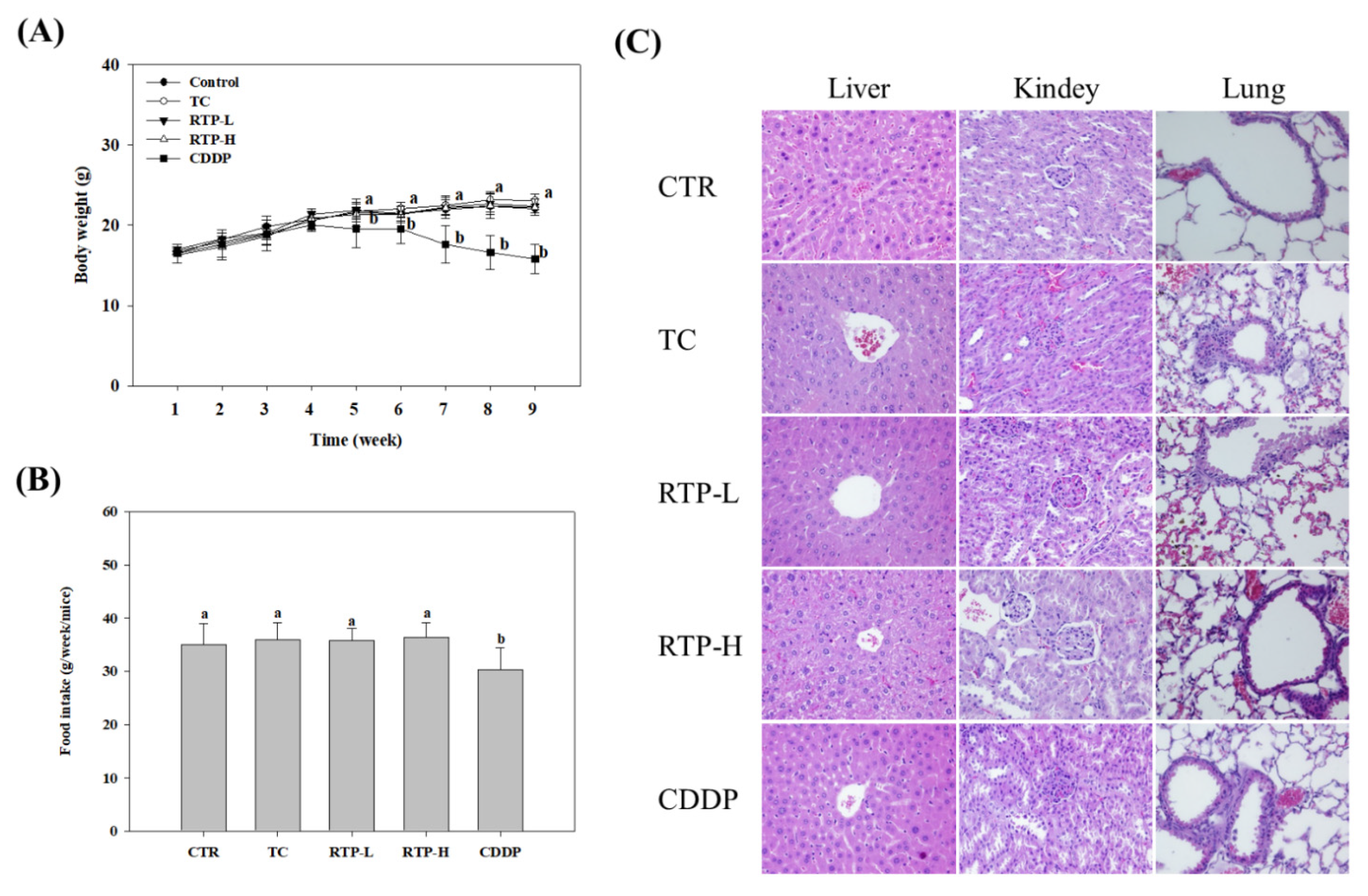 Ijms 23 02843 g007 550
