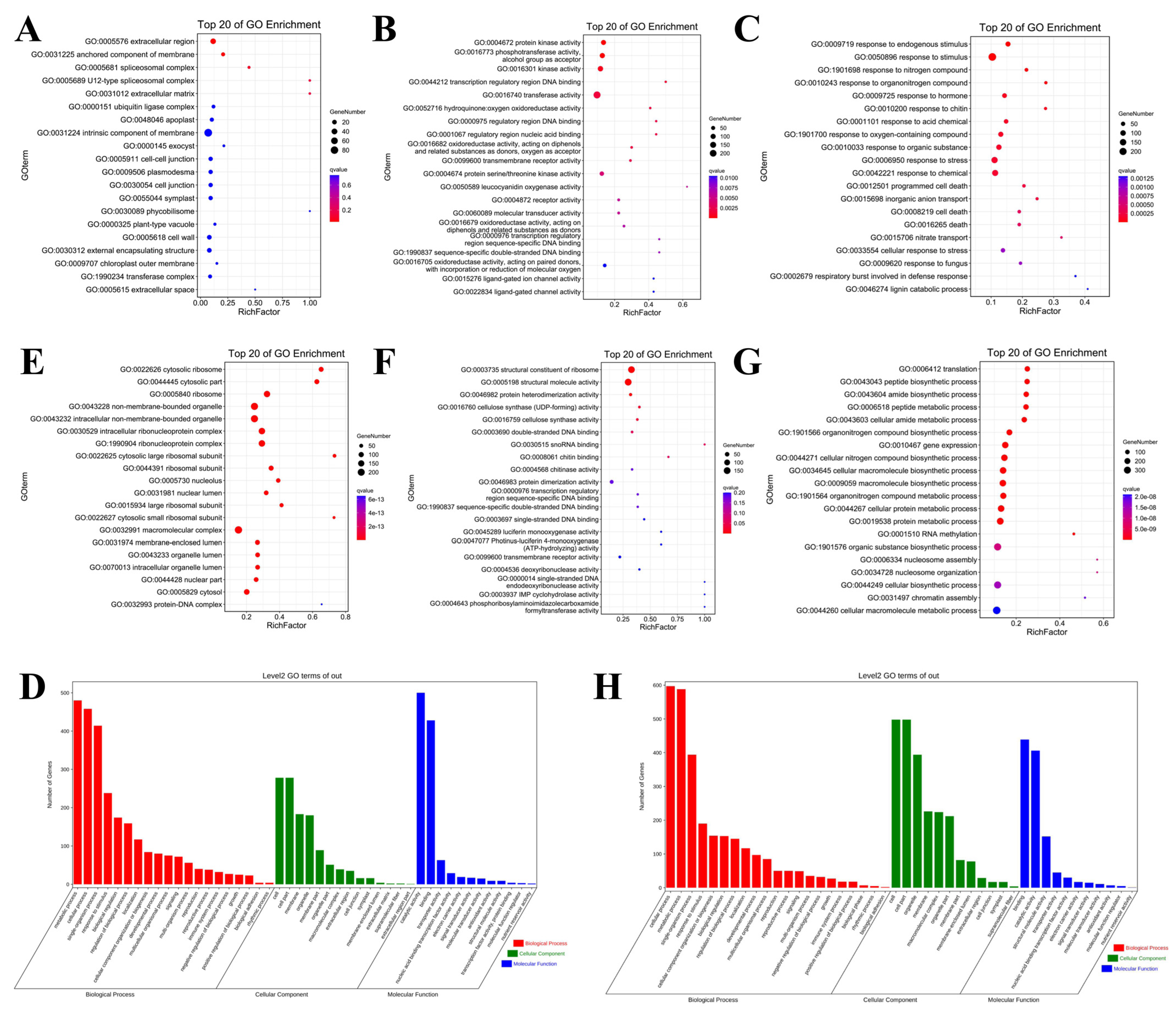 Ijms 23 02845 g004 550