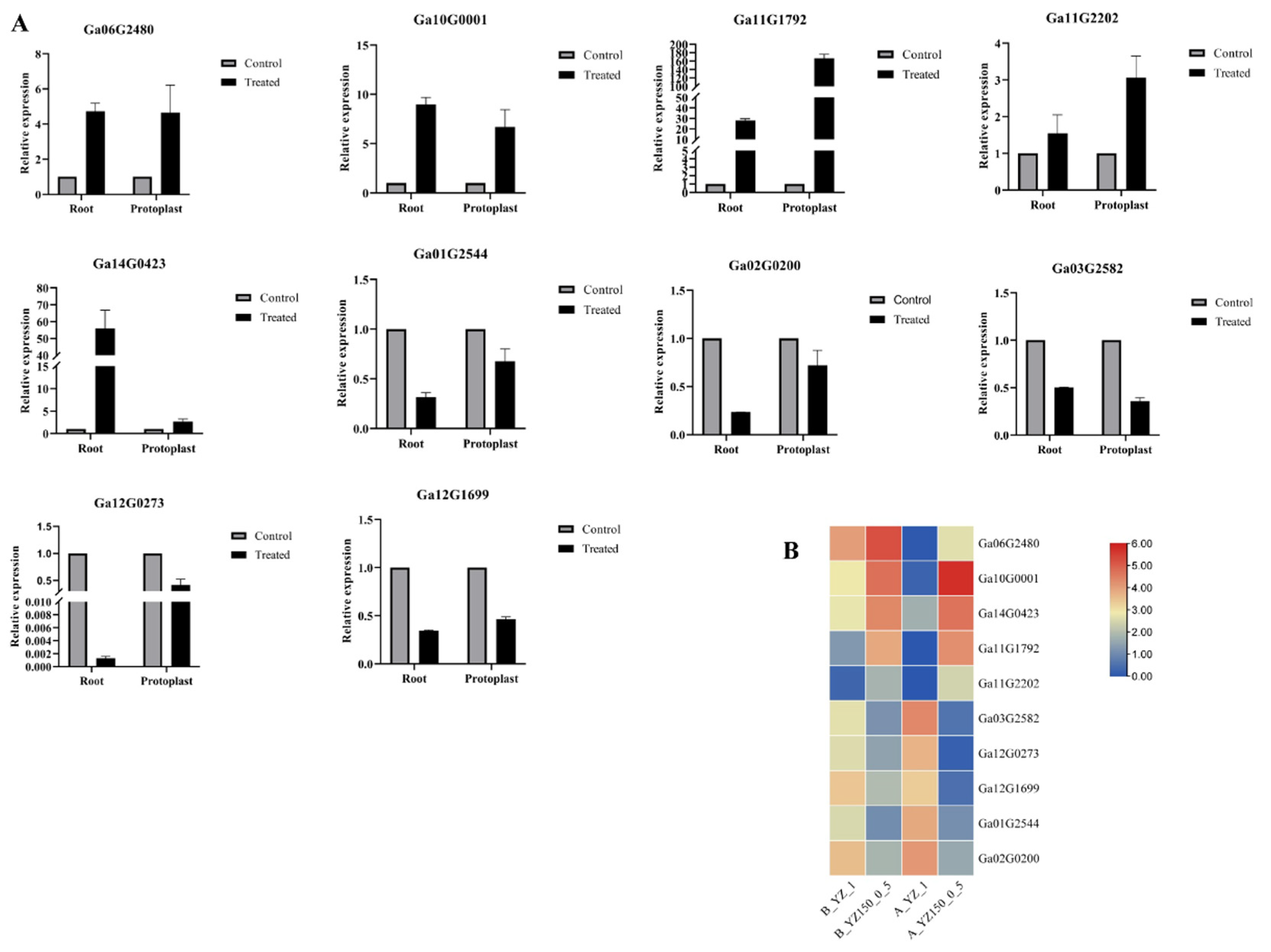 Ijms 23 02845 g007 550