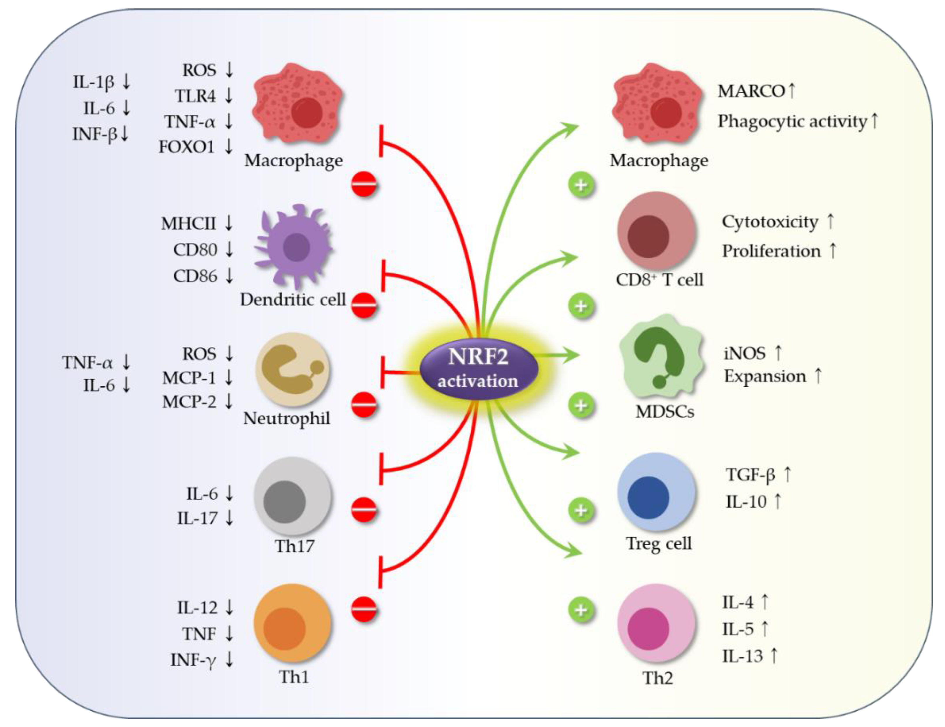 Ijms 23 02846 g002 550