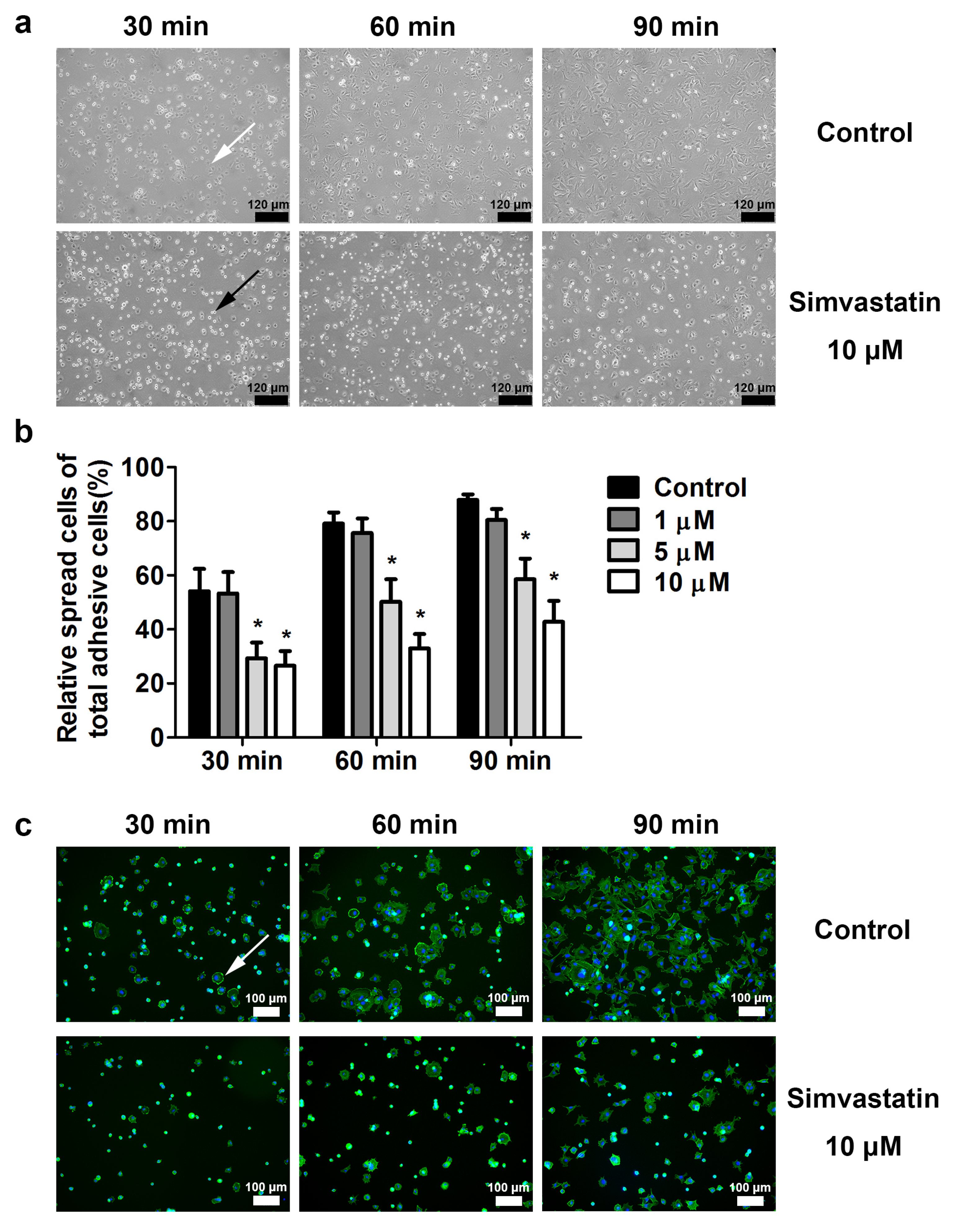 Ijms 23 02848 g004 550