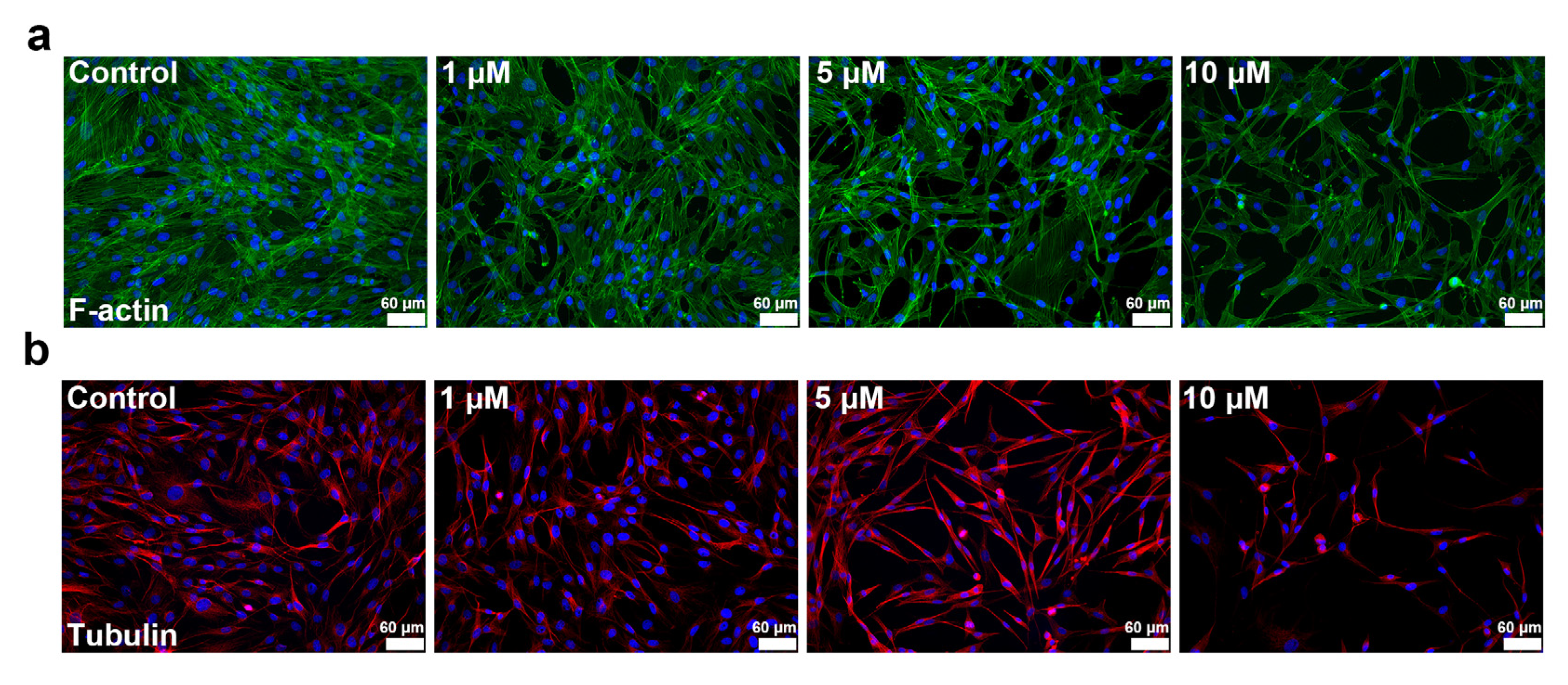 Ijms 23 02848 g005 550