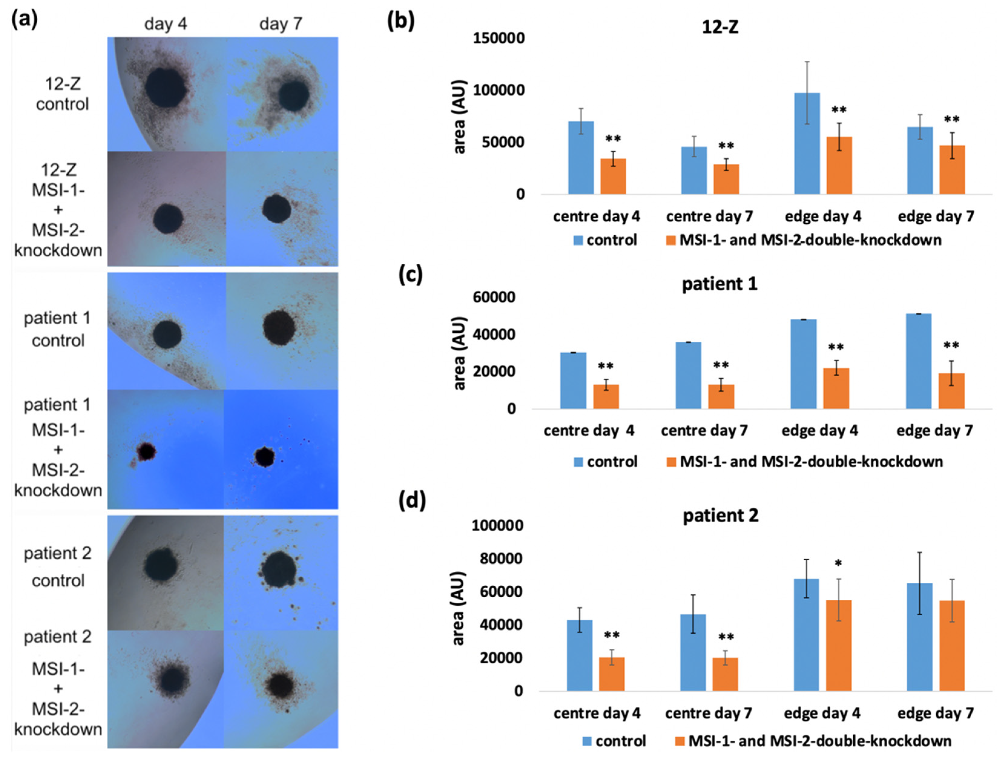 Ijms 23 02851 g004 550