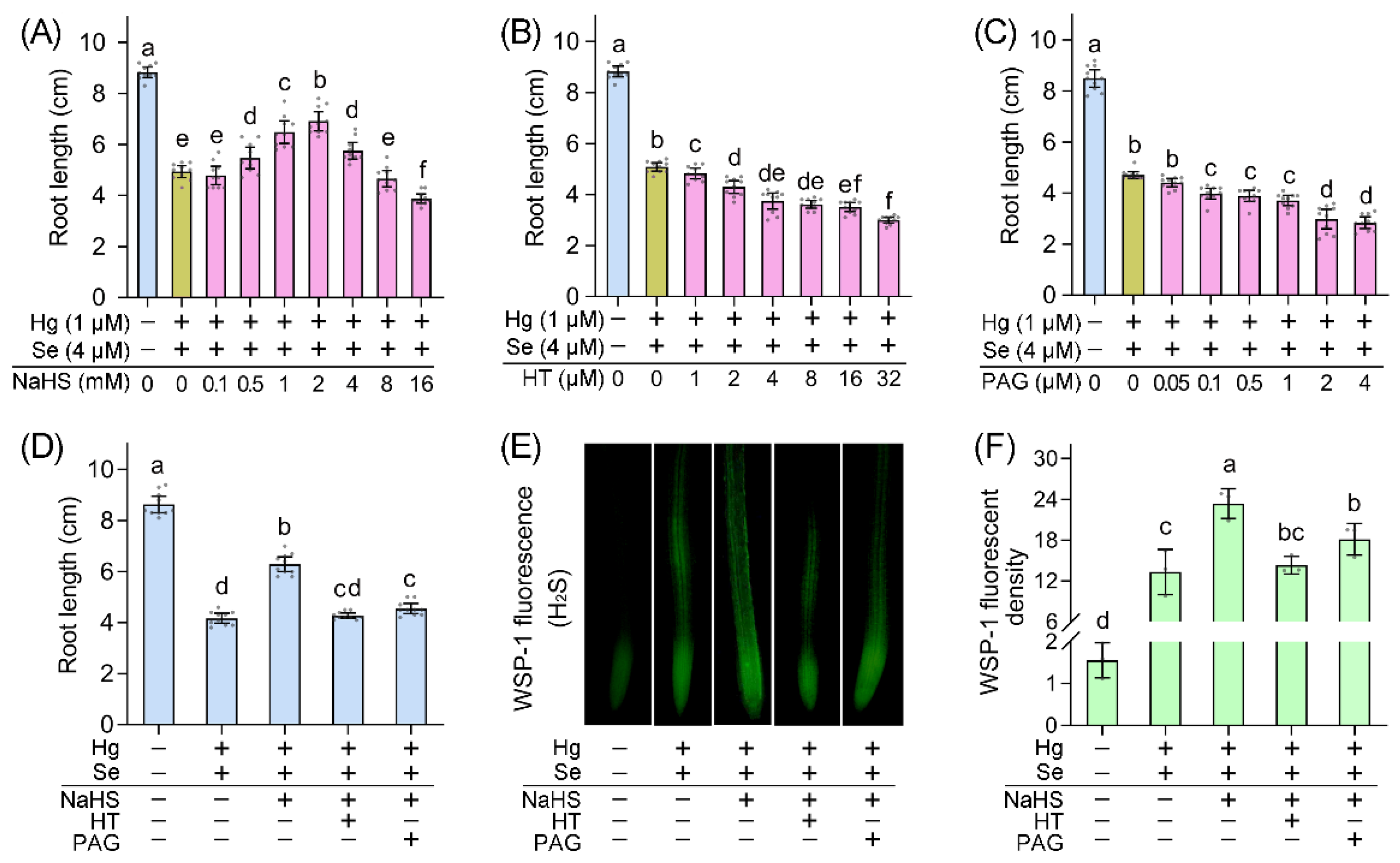 Ijms 23 02854 g003 550